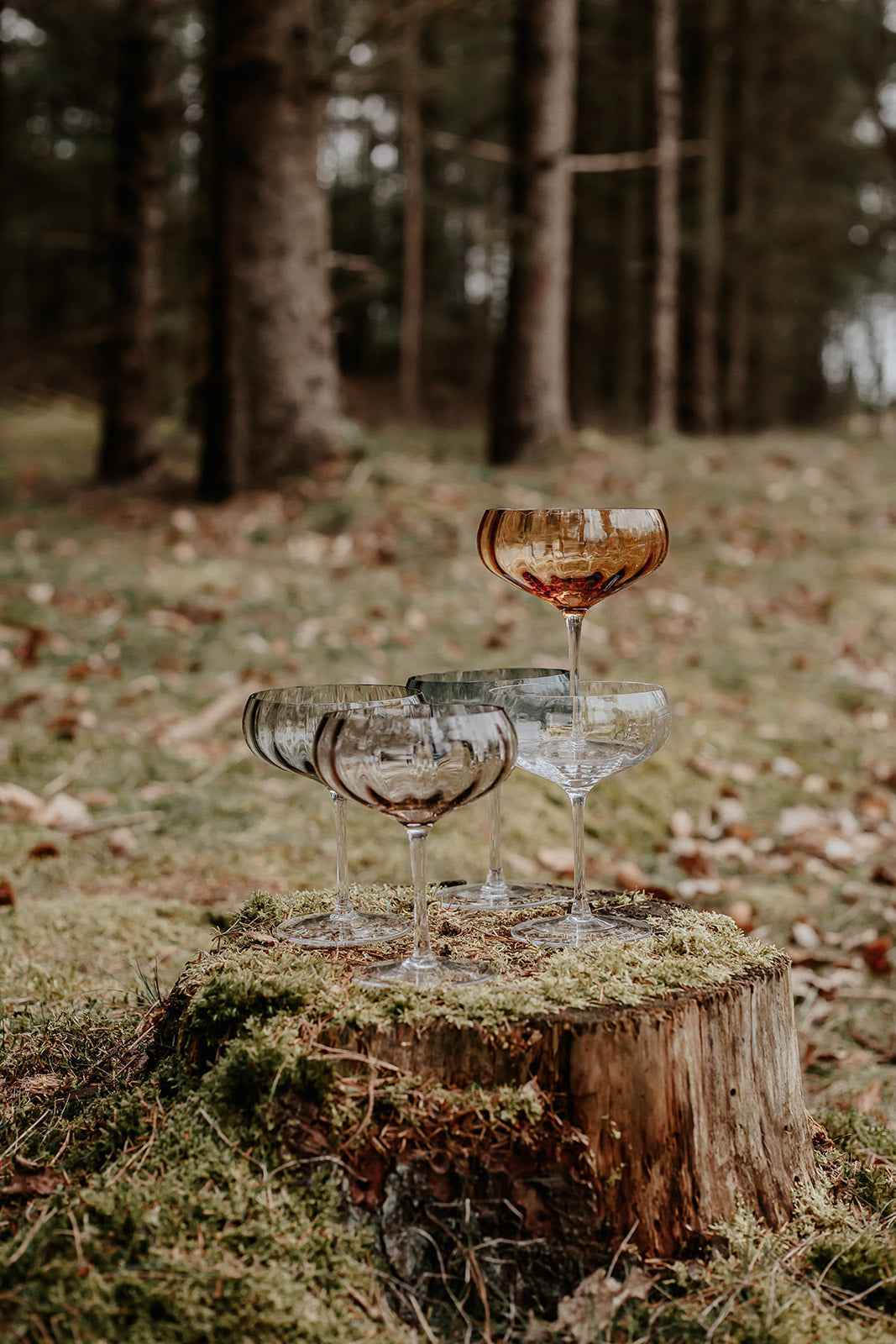 Meadow Glas - Cocktailglas | Klar | Pakke med 6 stk.