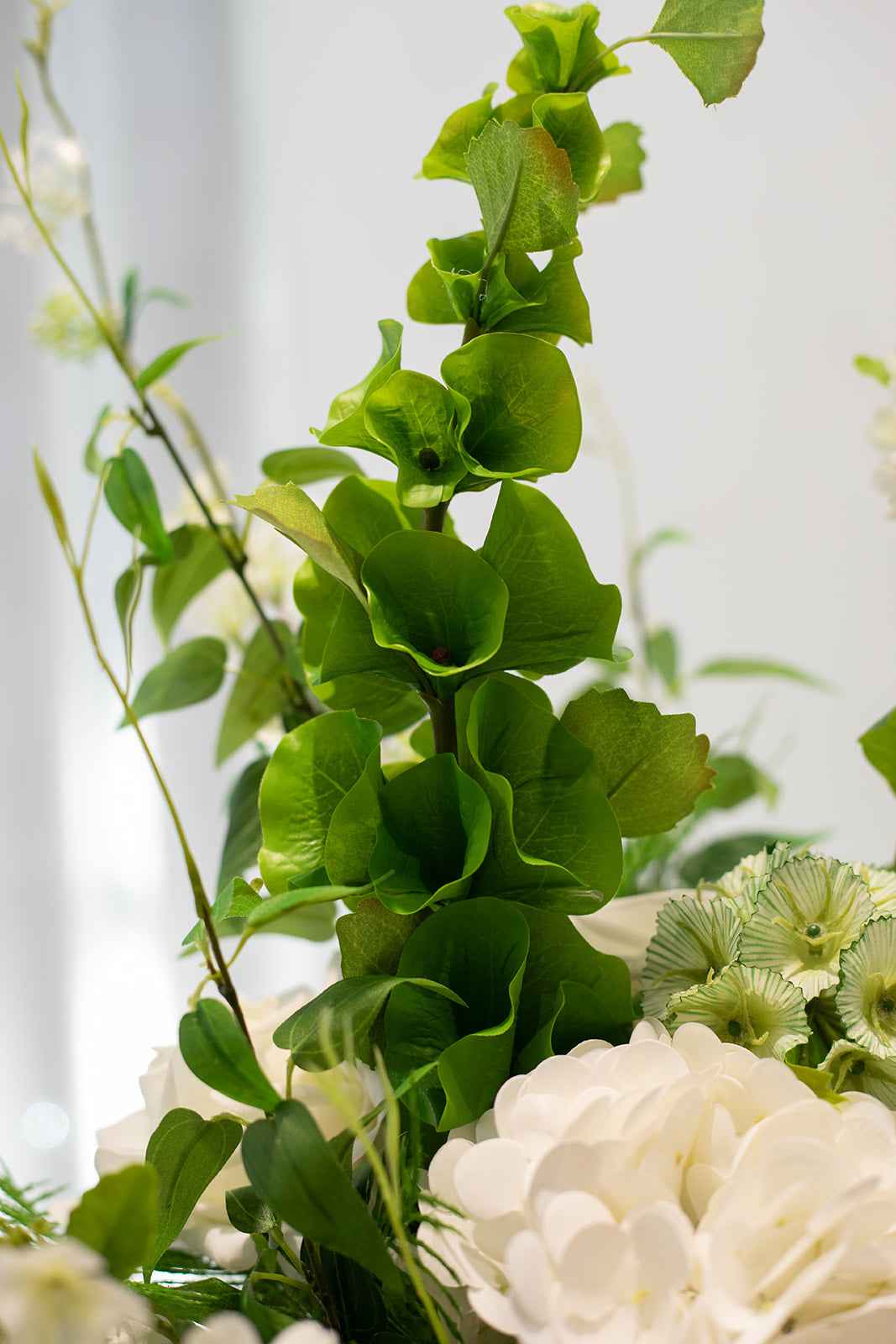 Buket 9209 - skovens fortælling