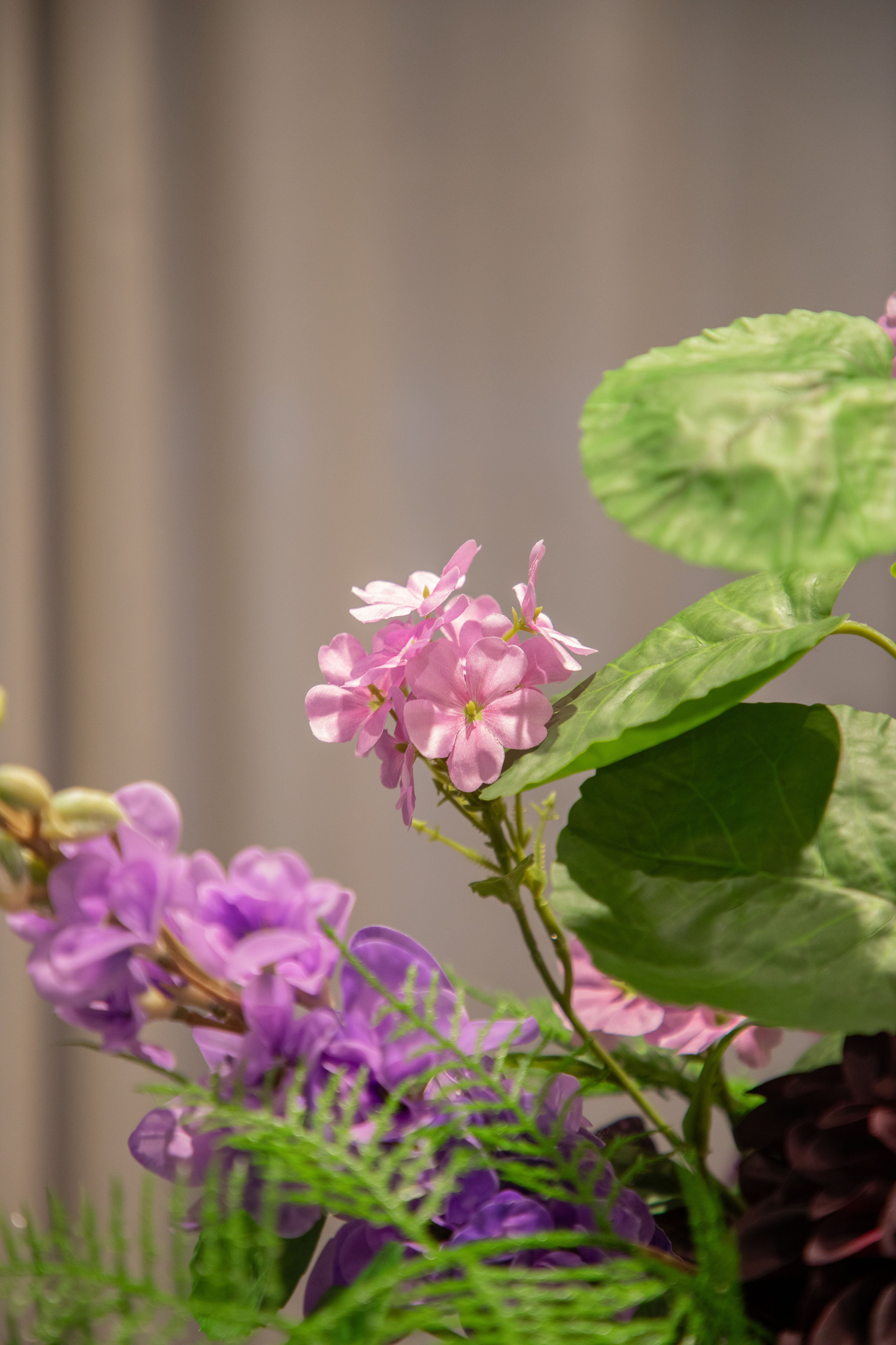 Blommeeng - Lilla Small