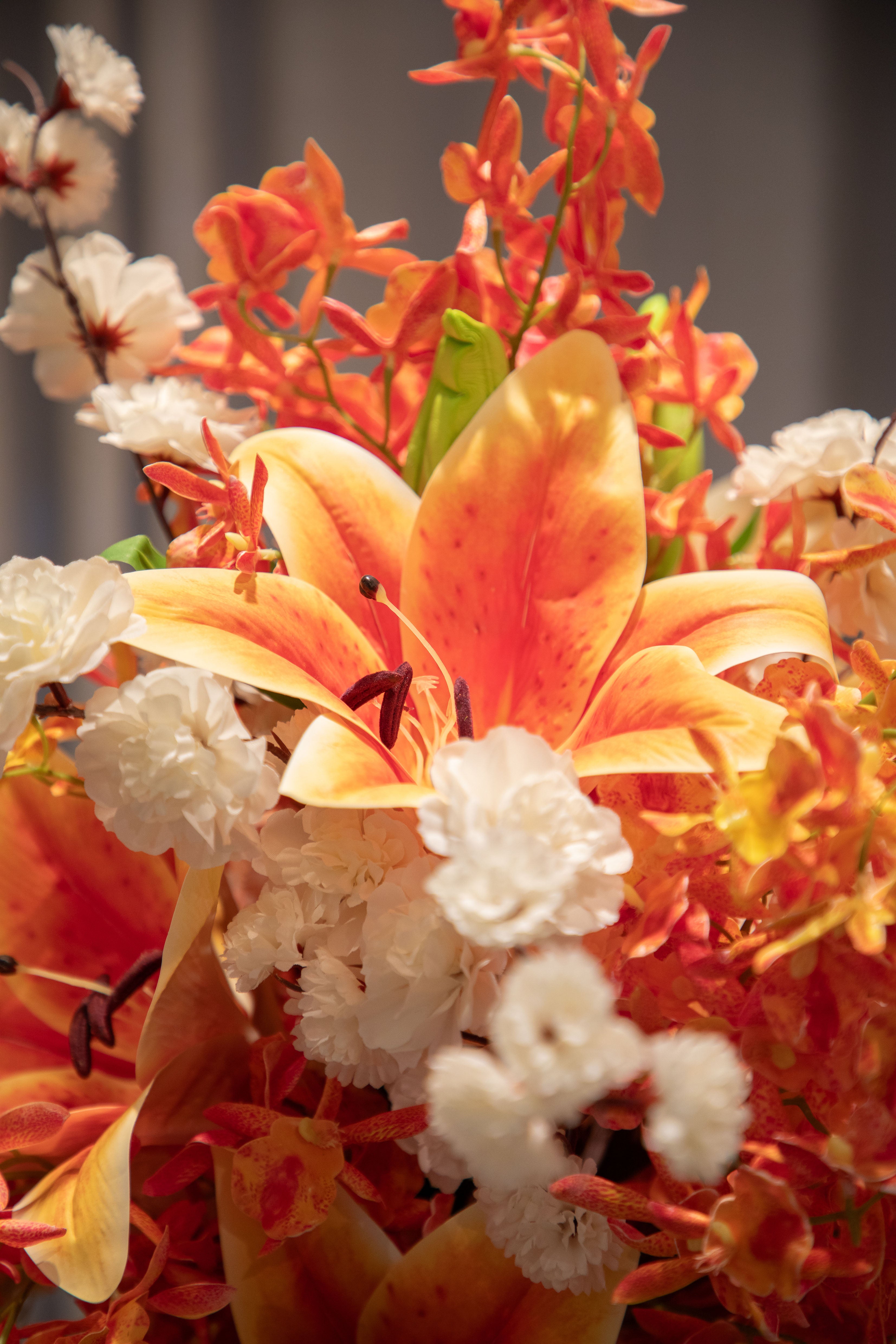 Amber Bloom - Orange Medium