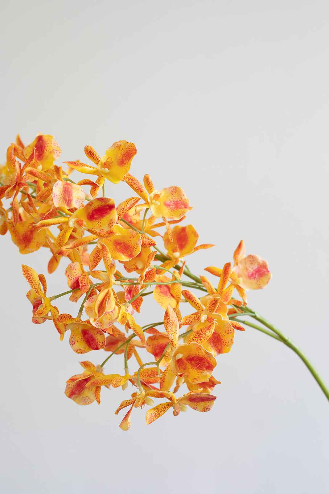 Orkidé Kunstig Blomst - Amber | Flere hoveder