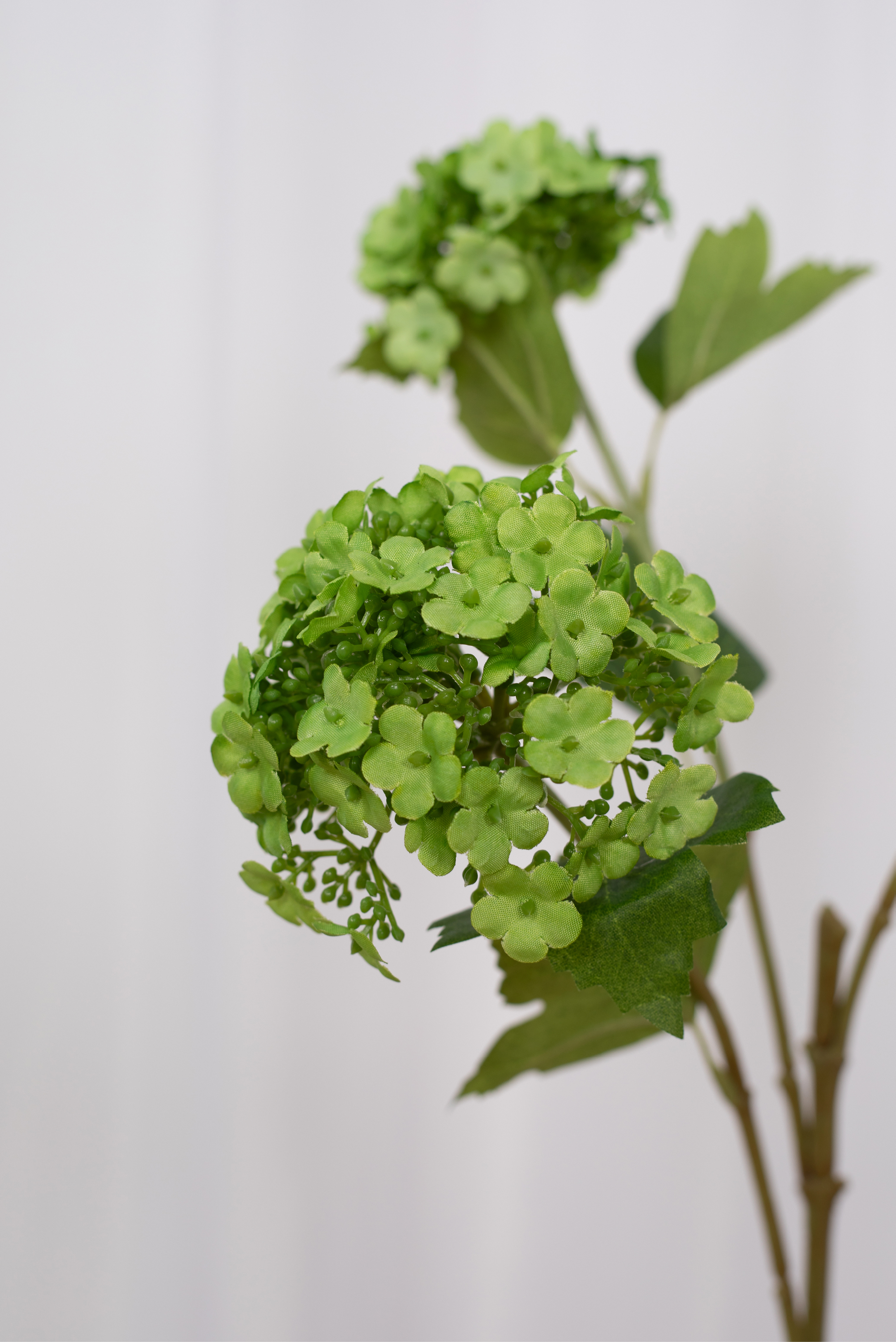 Detaljebillede af kunstig grøn hortensia gren.