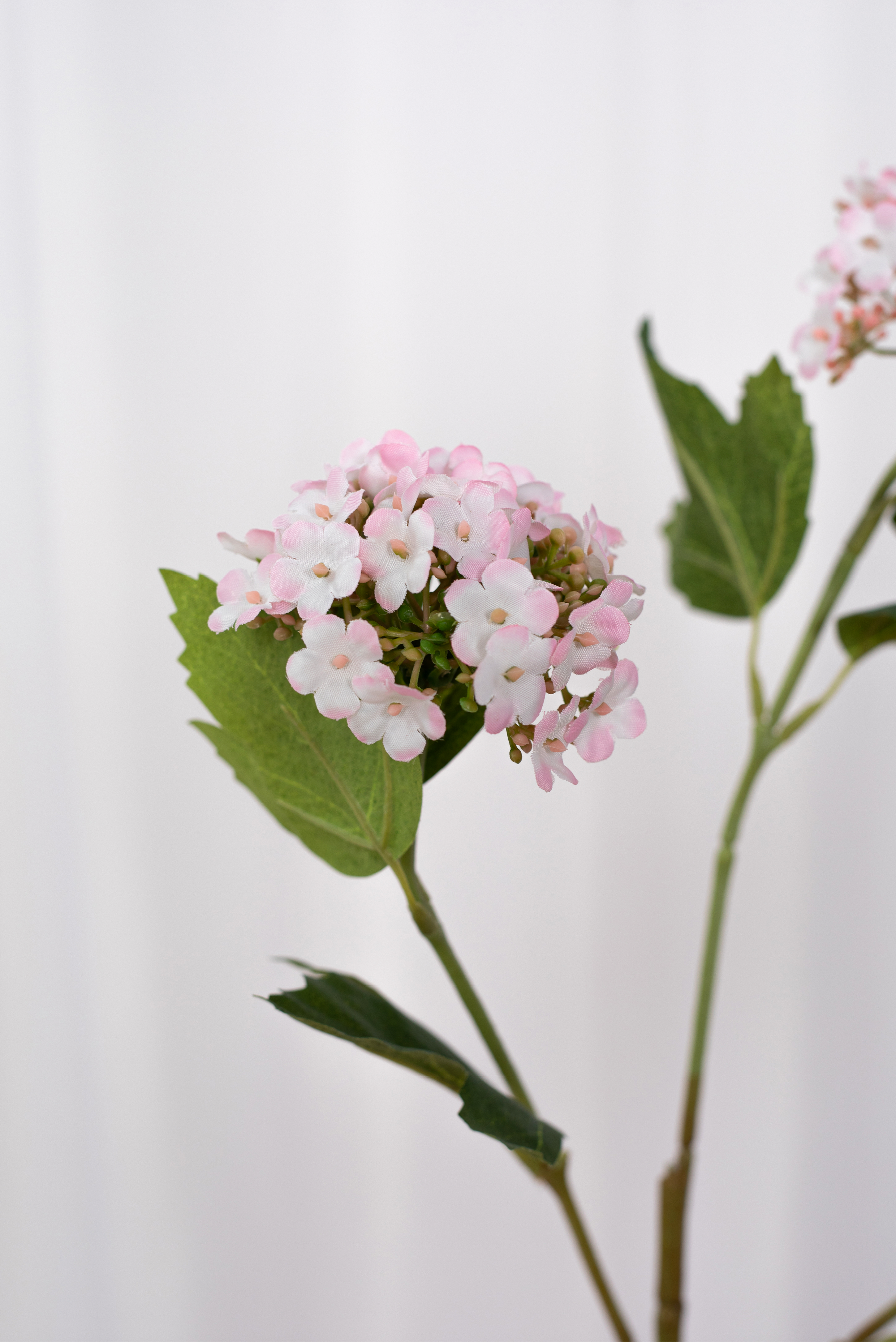 Detaljebillede af kunstig hortensia gren i en rosa farve.