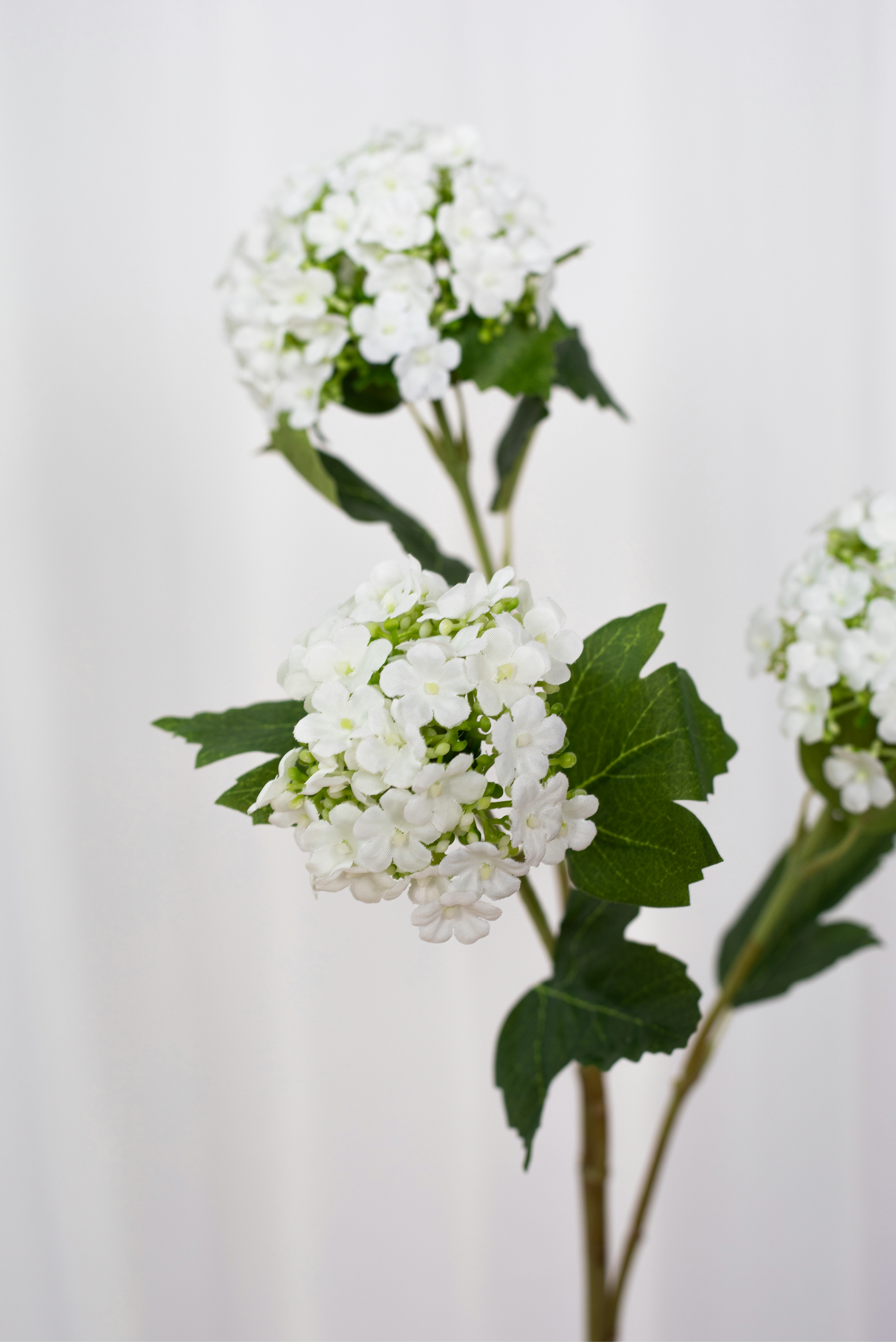 Detaljebillede af kunstig hvis hortensia gren.