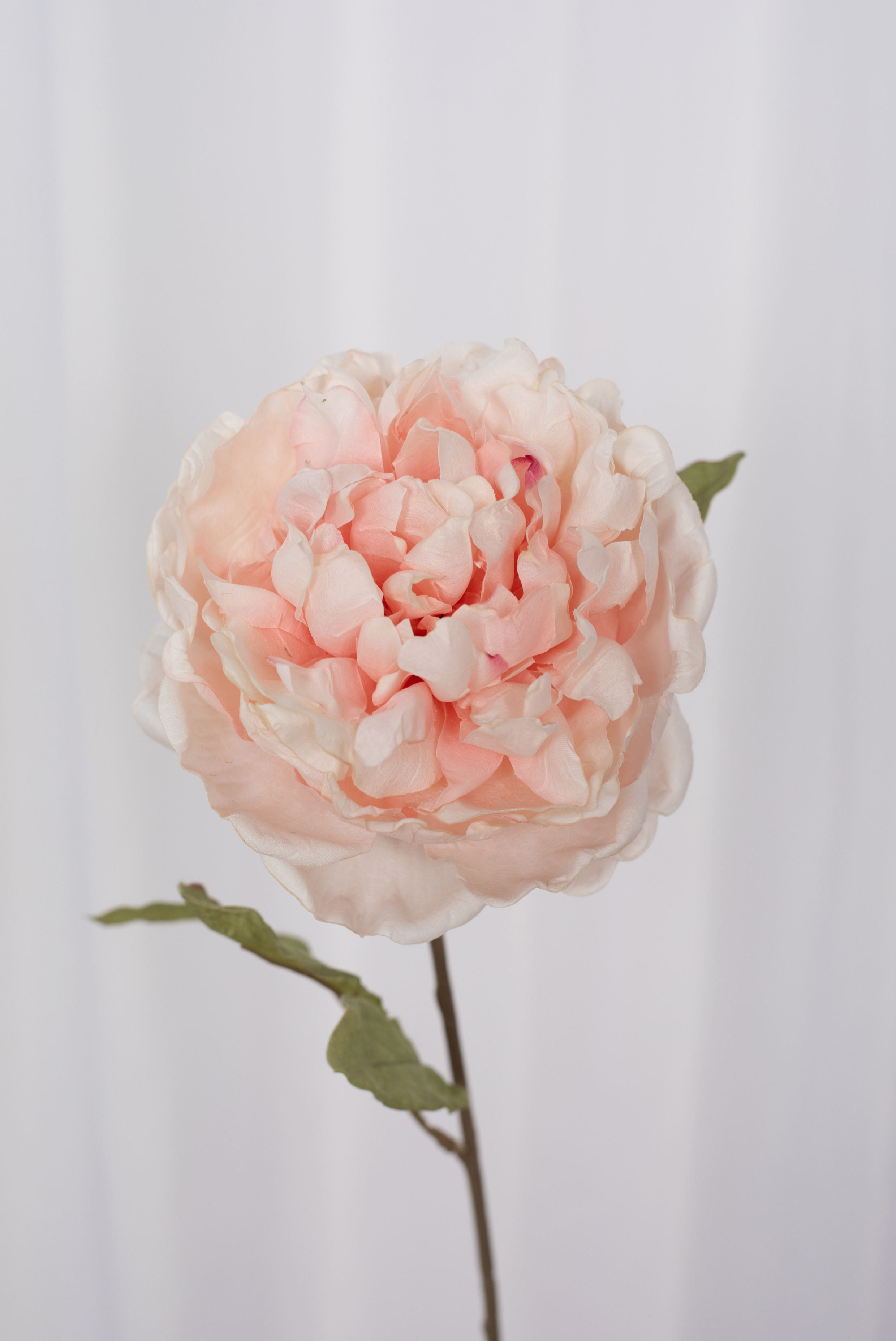 Detaljebillede af en kunstig pæon i en rosa farve.