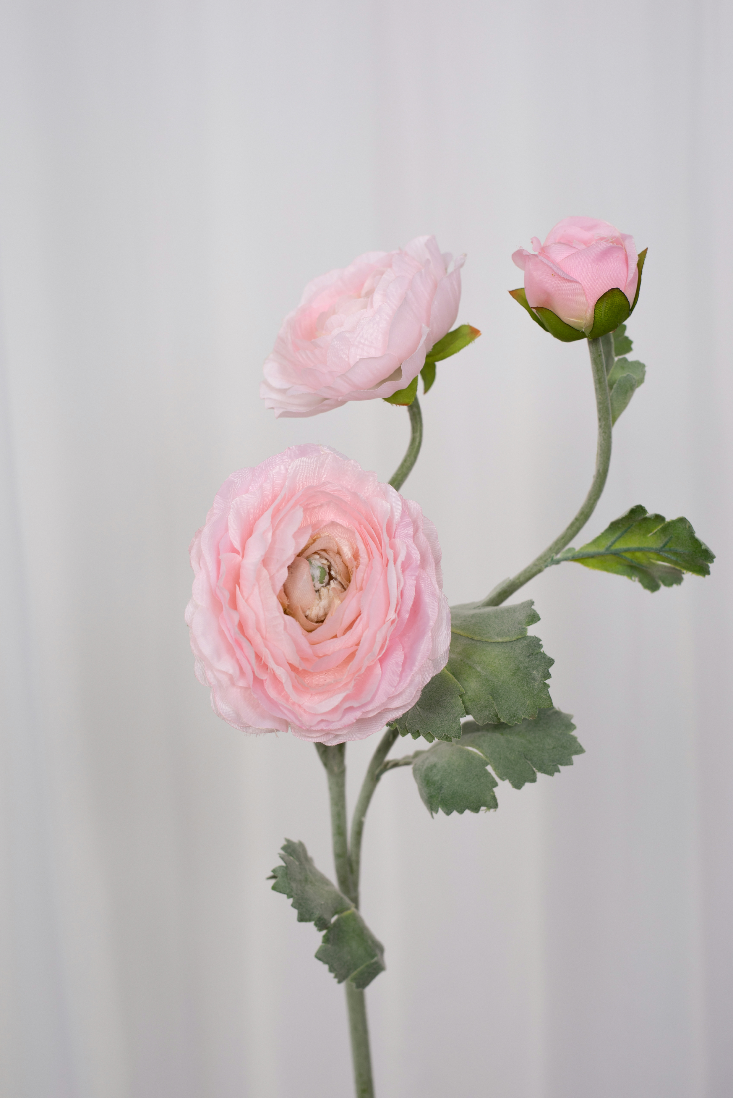 Detaljebillede af kunstig lys rosa ranunkel blomst.
