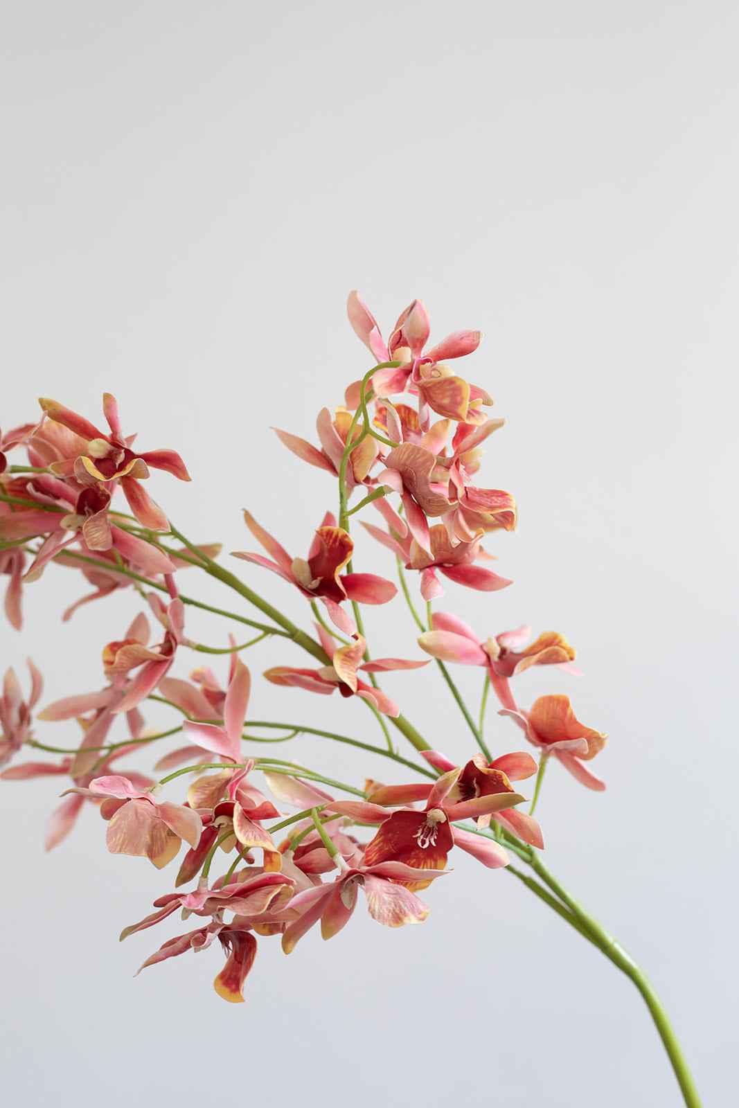 Orkidé Kunstig Blomst - Lyserød | Flere hoveder