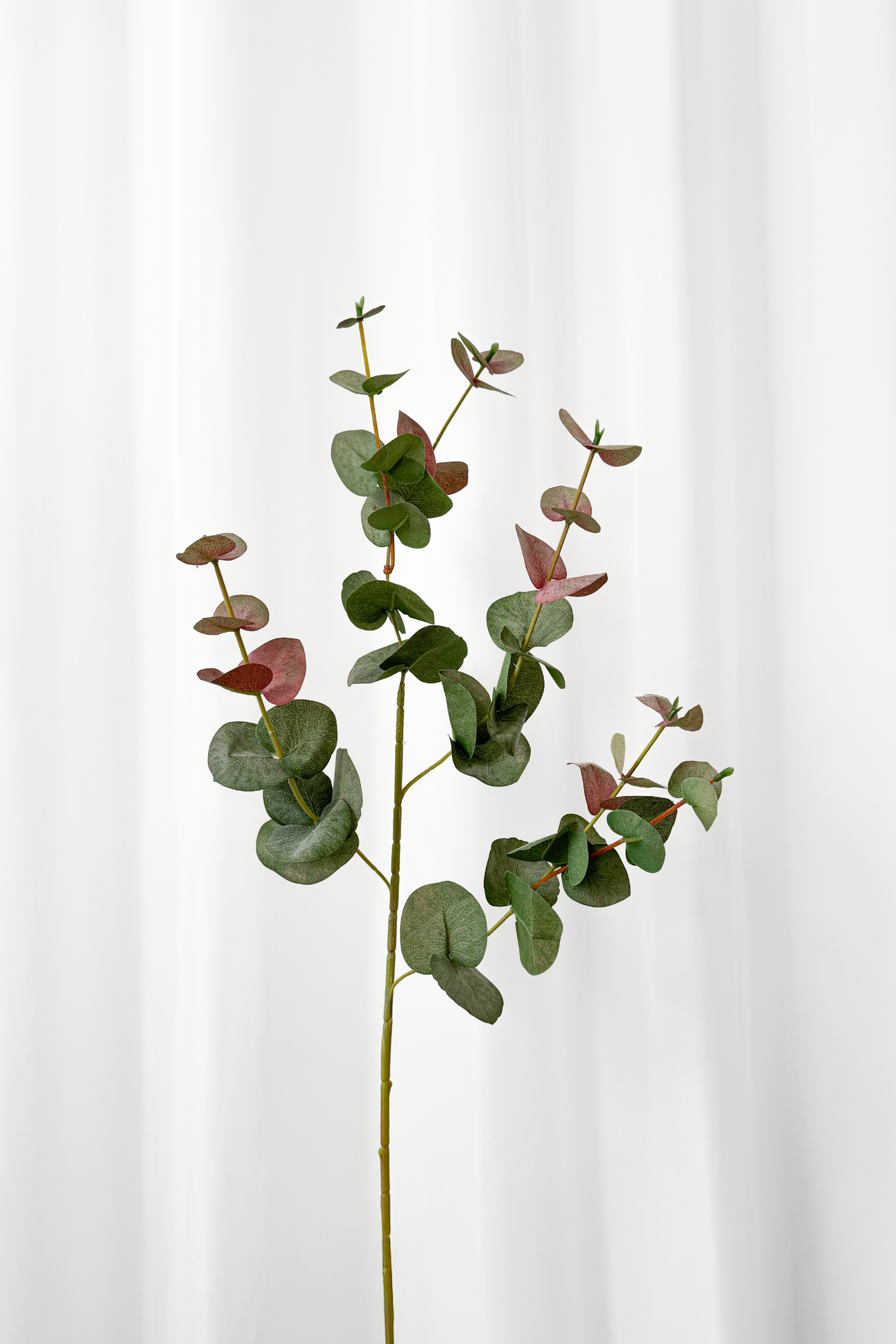 Eukalyptus gren i grønne og røde nuancer fra Specktrum.