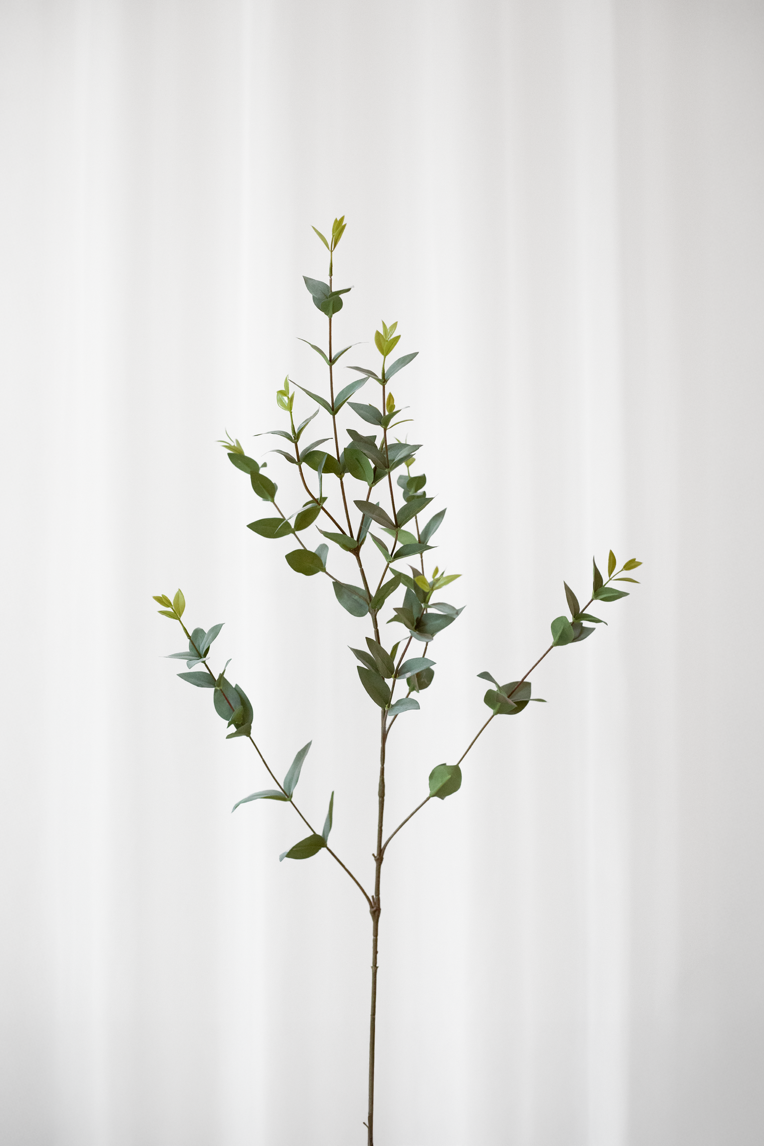 Kunstig eukalyptusgren med spidse blade med naturnatro detaljer fra Specktrum.
