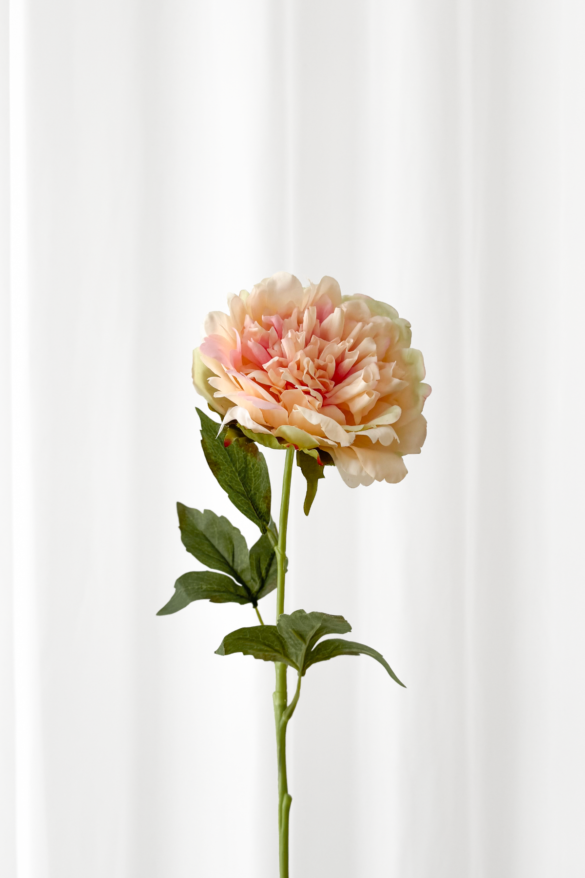 Kunstig blomst fra Specktrum med naturtro detaljer. Ferskenfarvet pæon med reel touch følelse.