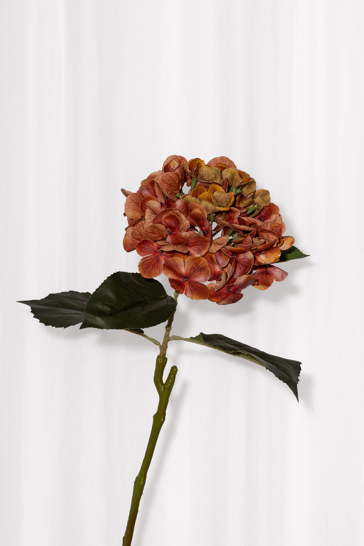 Kunstig hortensia blomst i brændt orange. Blomstens blade har en ægte og naturtro finish, og står smukt i efterårets buketter.