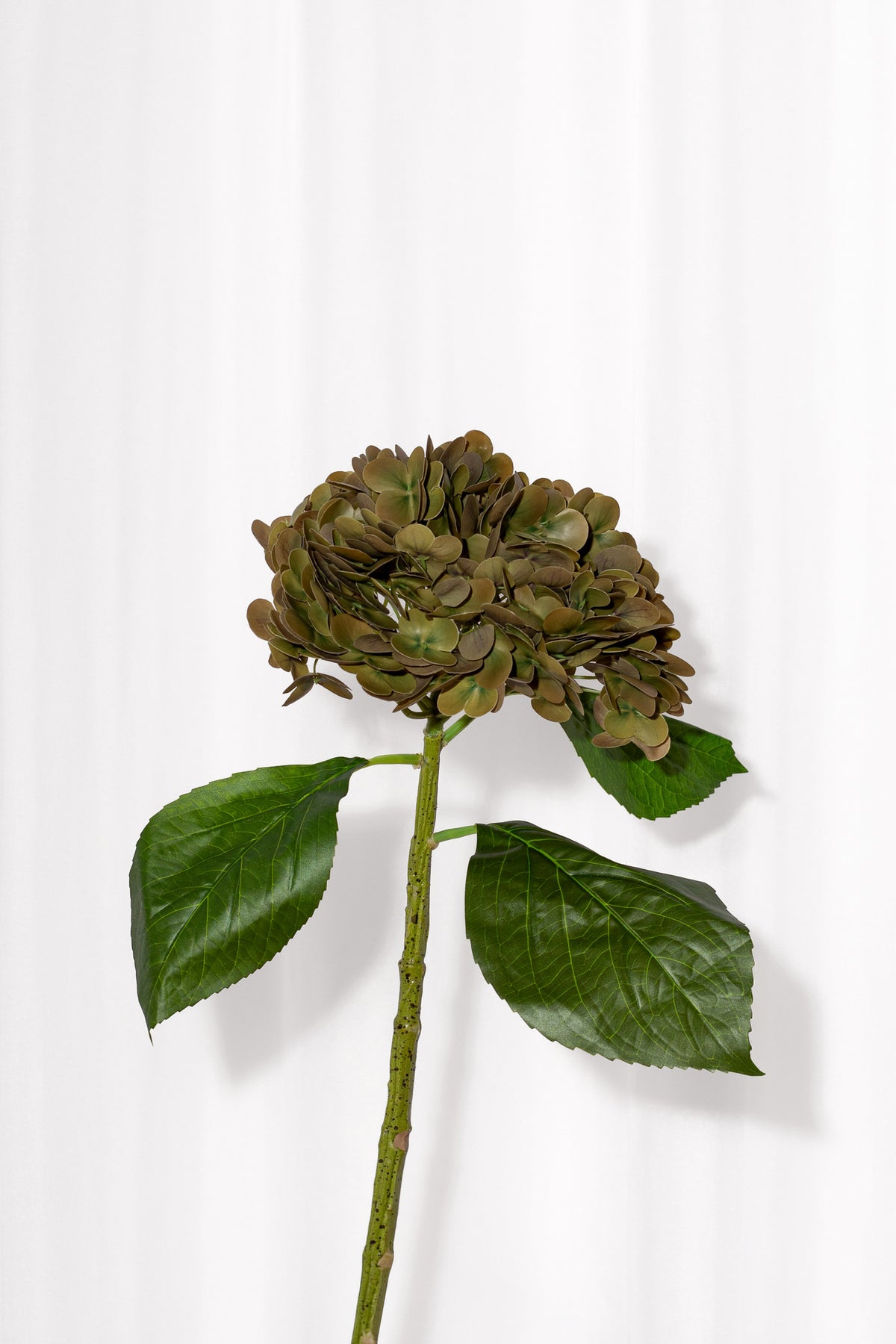 Kunstig hortensia blomst i en brændt efterårsgrøn. Stilken har en naturtro overflade.