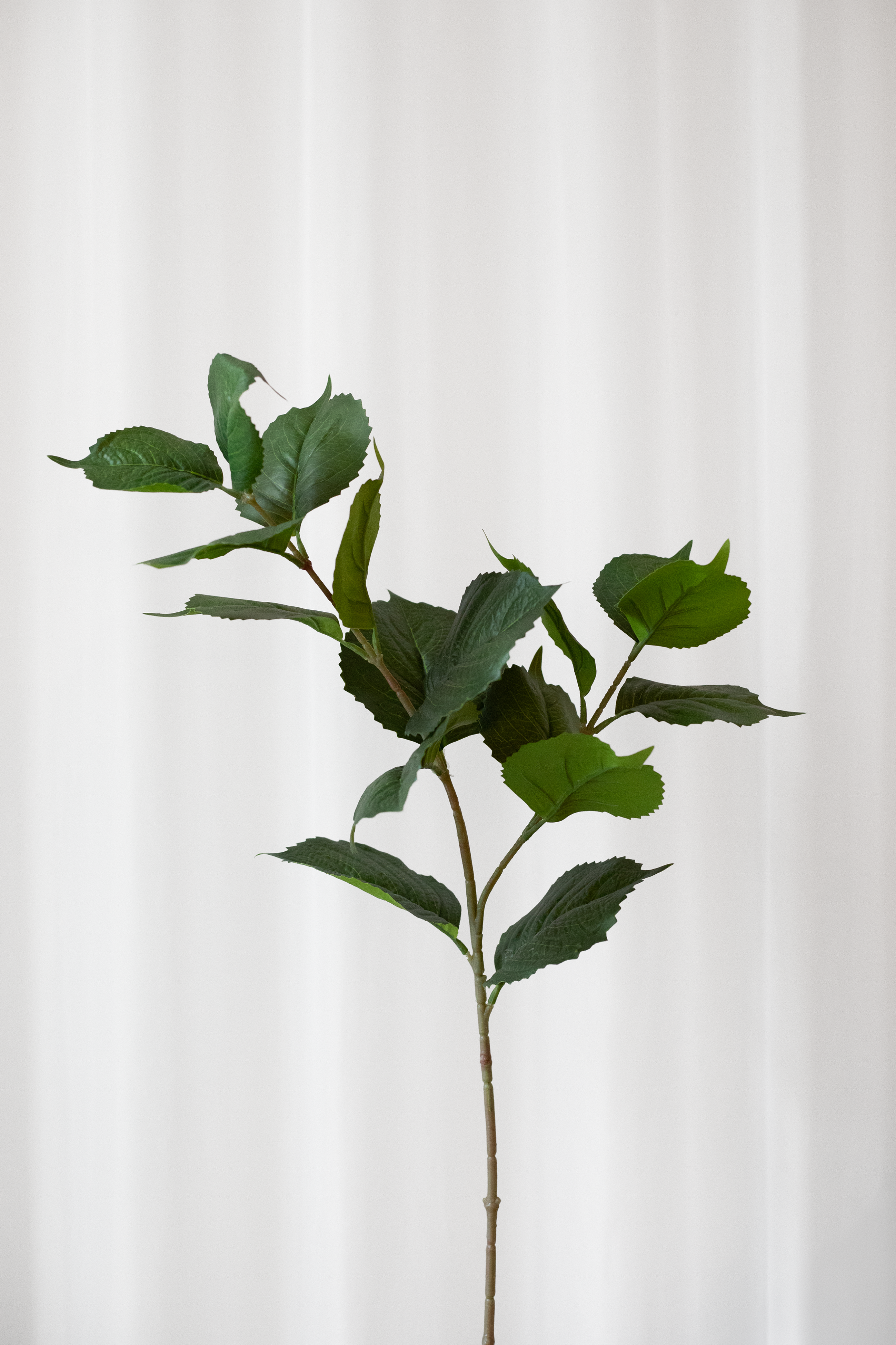 Kunstig hortensiablad i grøn med naturnatro detaljer fra Specktrum.