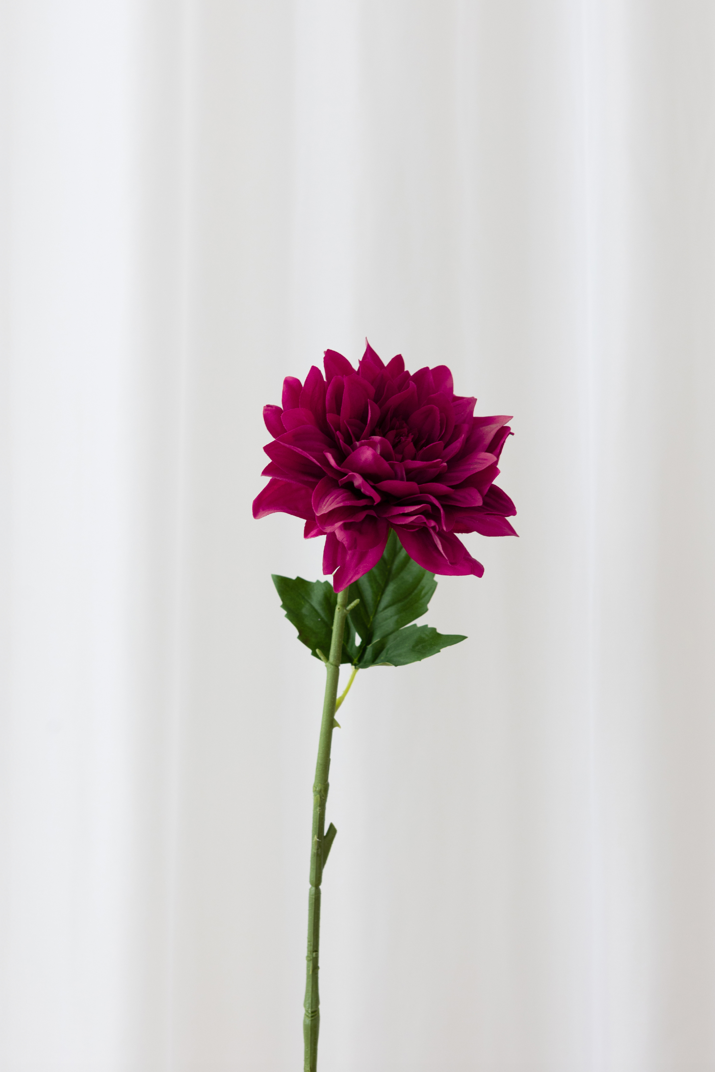 Naturtro kunstig dahlia blomst I hot pink med reel touch følelse.