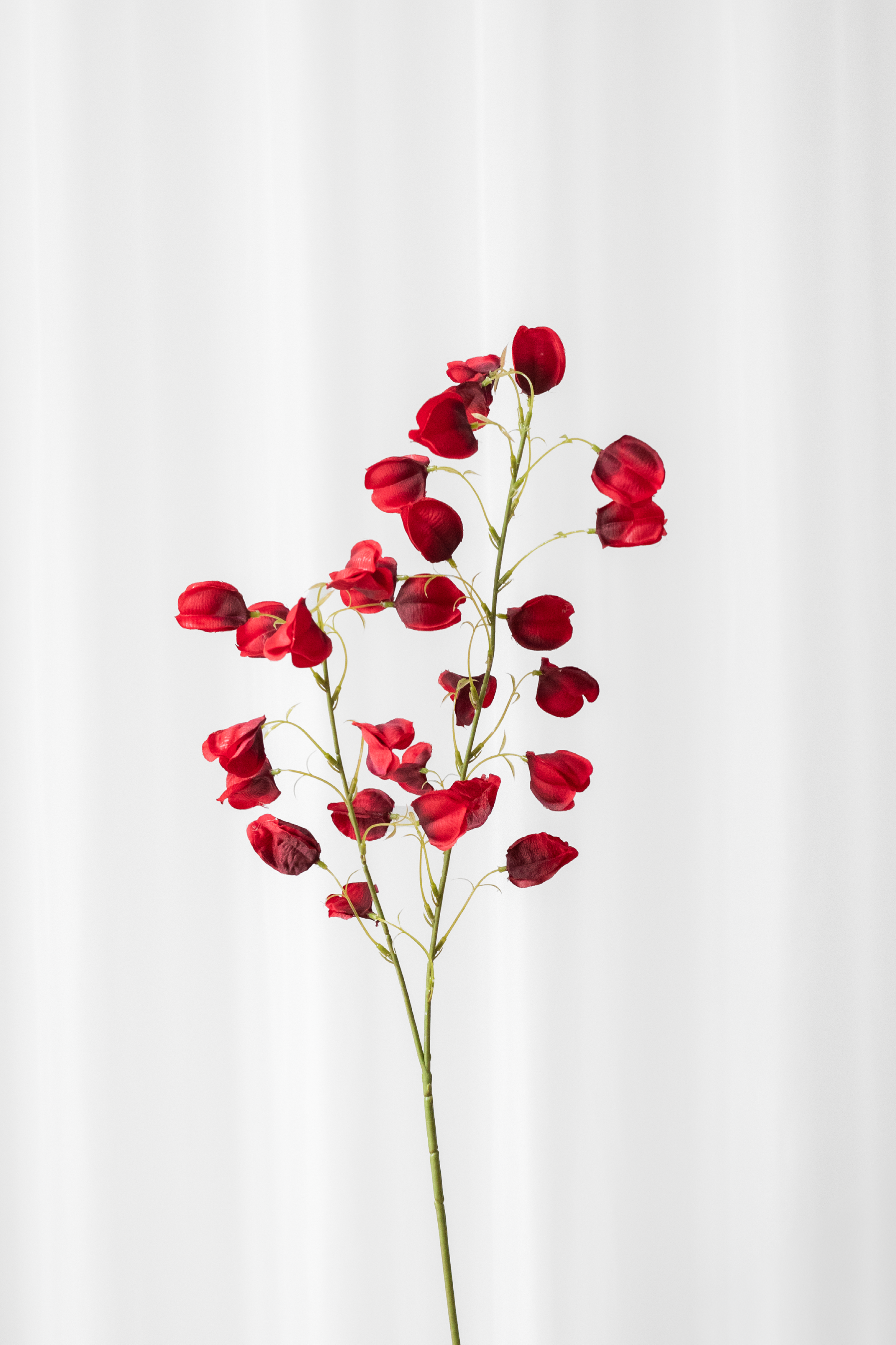 Kunstig japansk lygteblomst i røde og bordeaux farver. Naturtro.