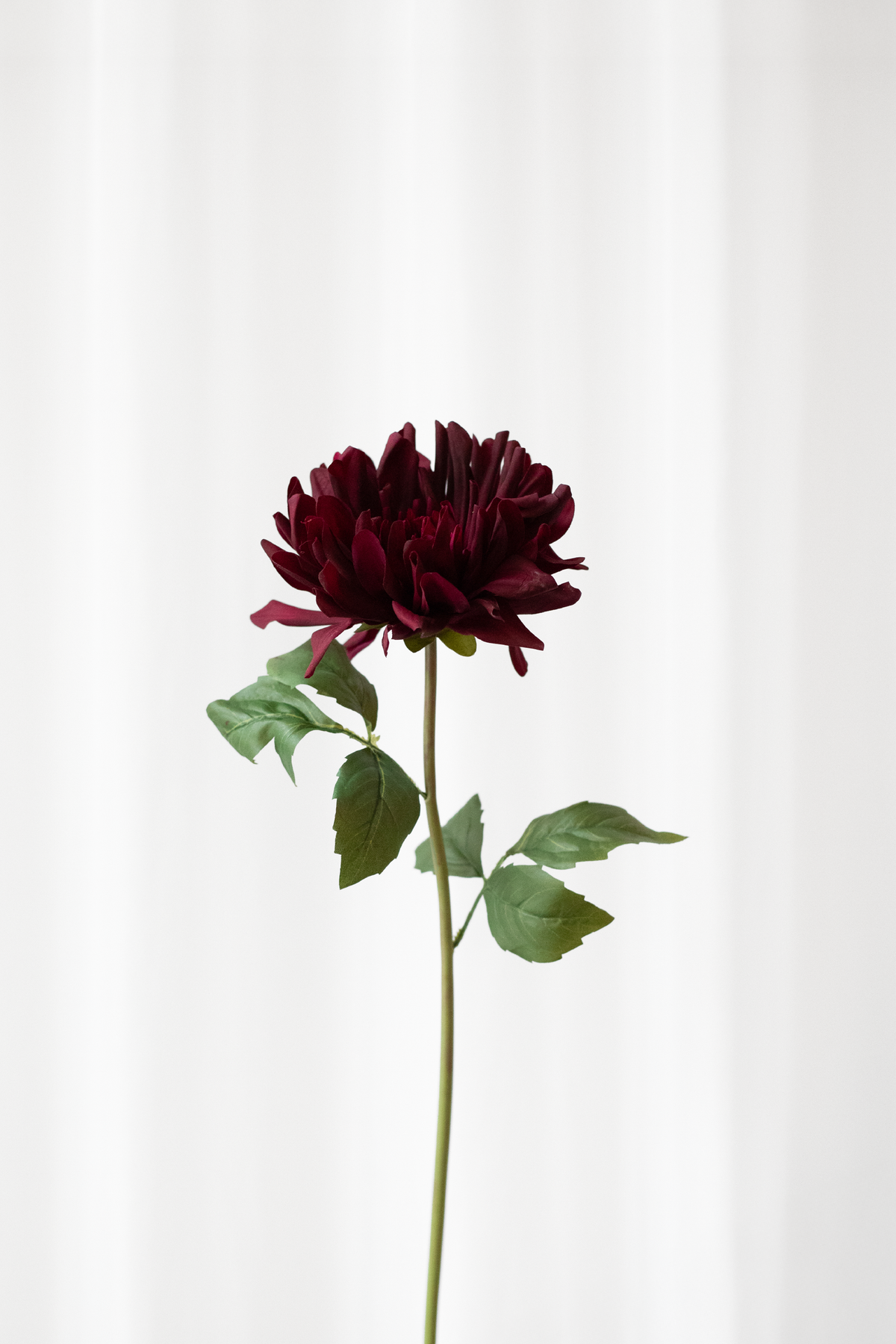 Kunstig krysantemum blomst med naturnatro detaljer fra Specktrum.