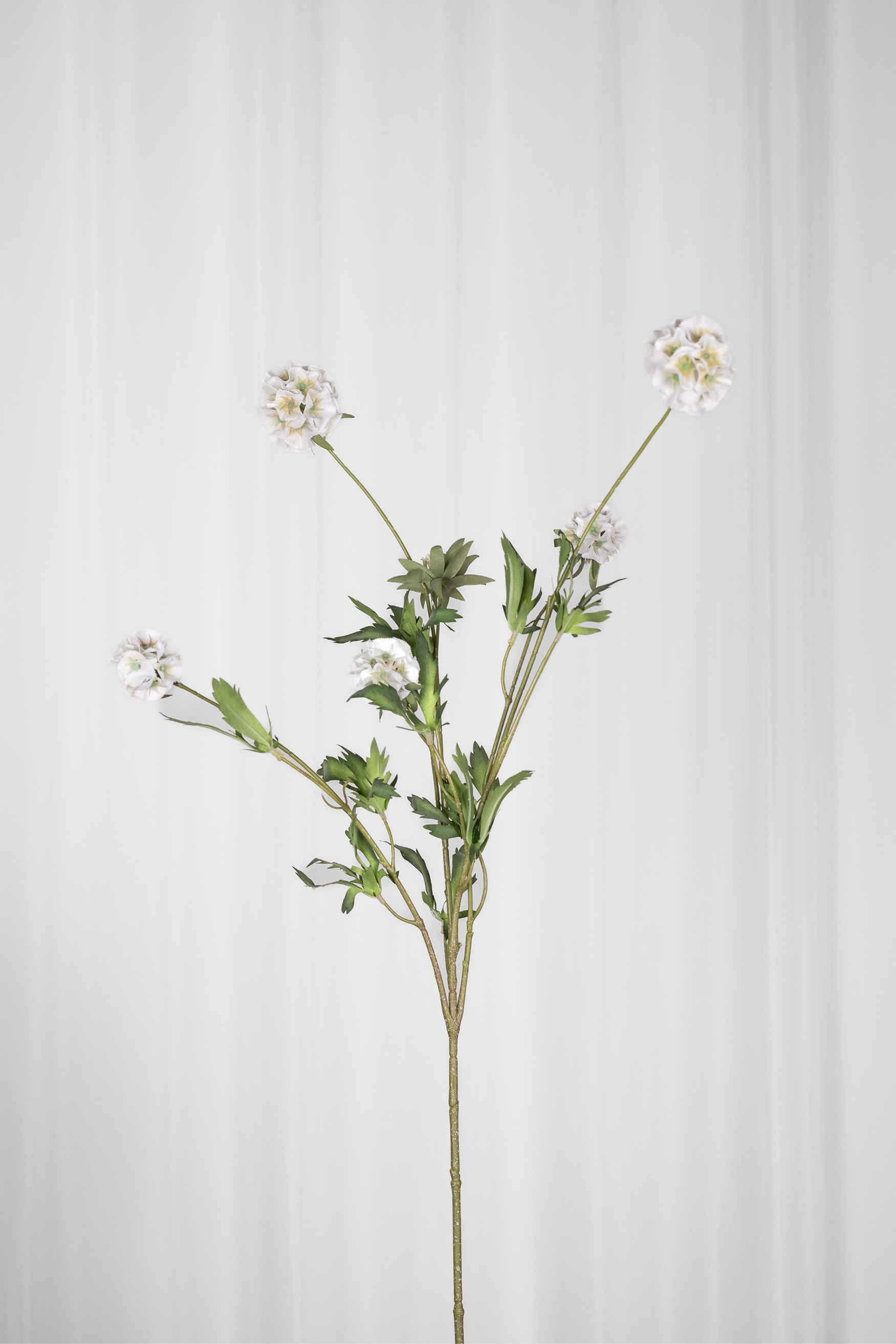 Kunstig Blomst - Hvid Skabiose (flere hoveder)