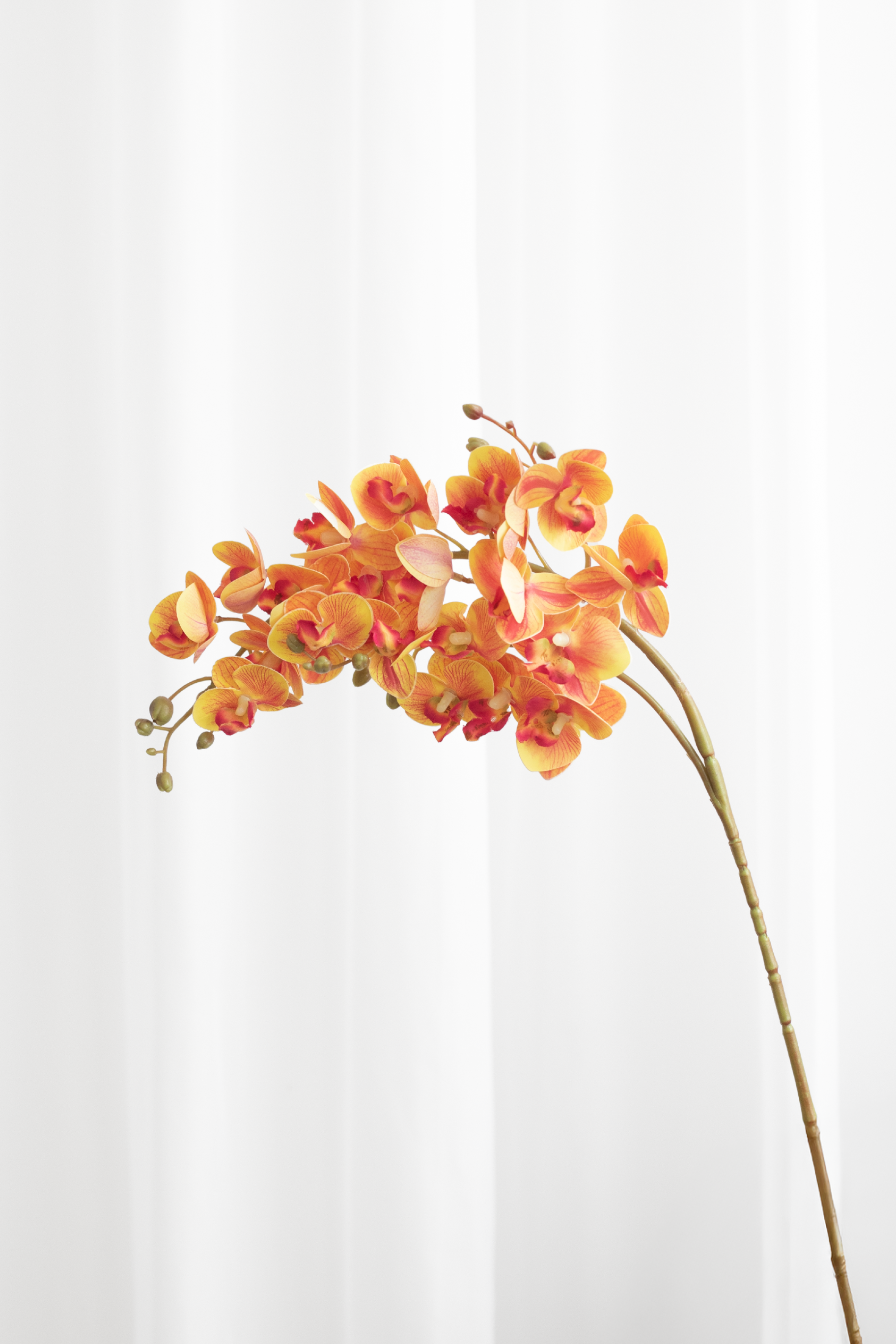 Kunstig orkide i en orange/rødlig farve med 21 blomsterhoveder.