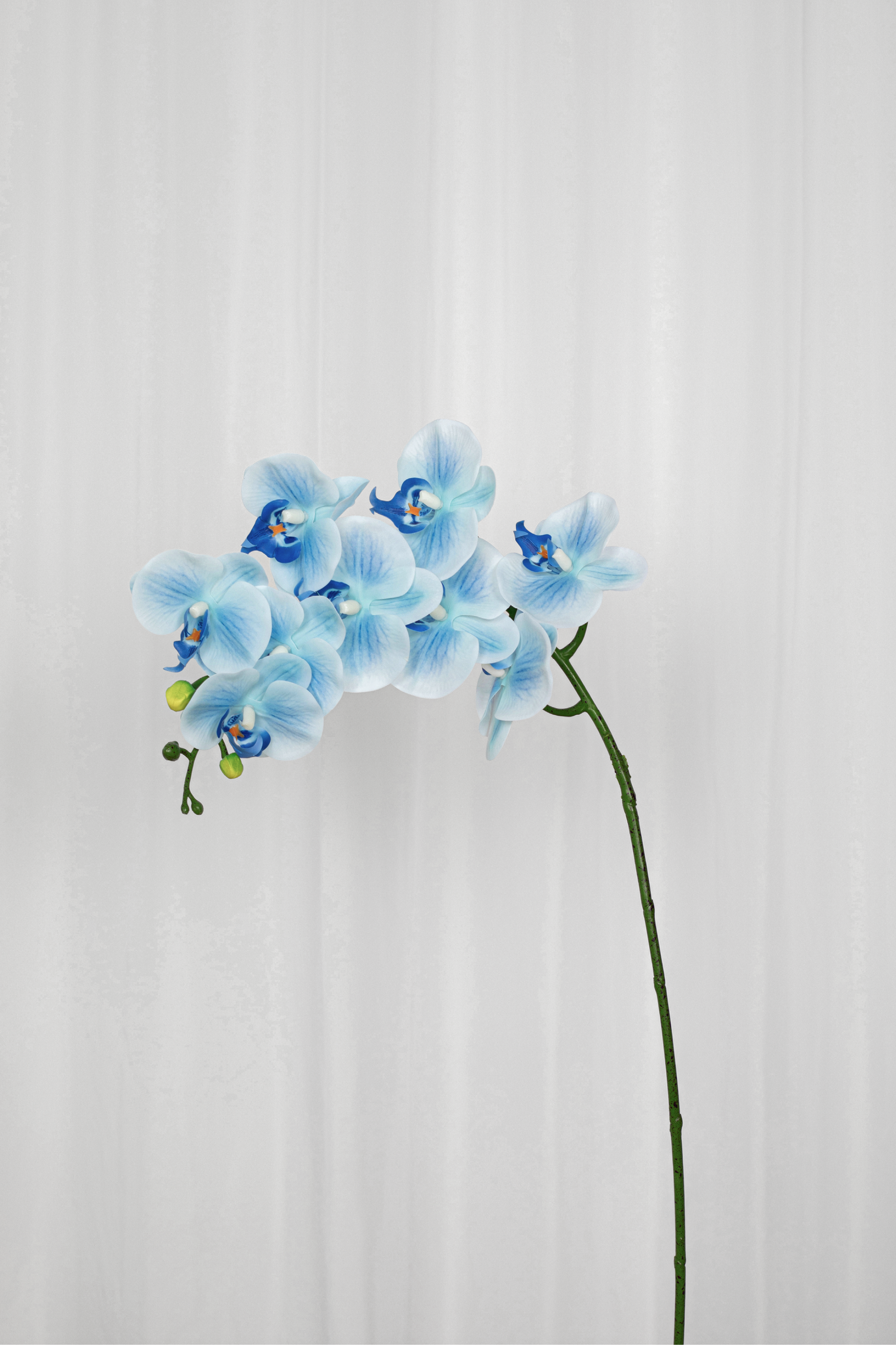 Kunstig orkide i blå med 9 hoveder.