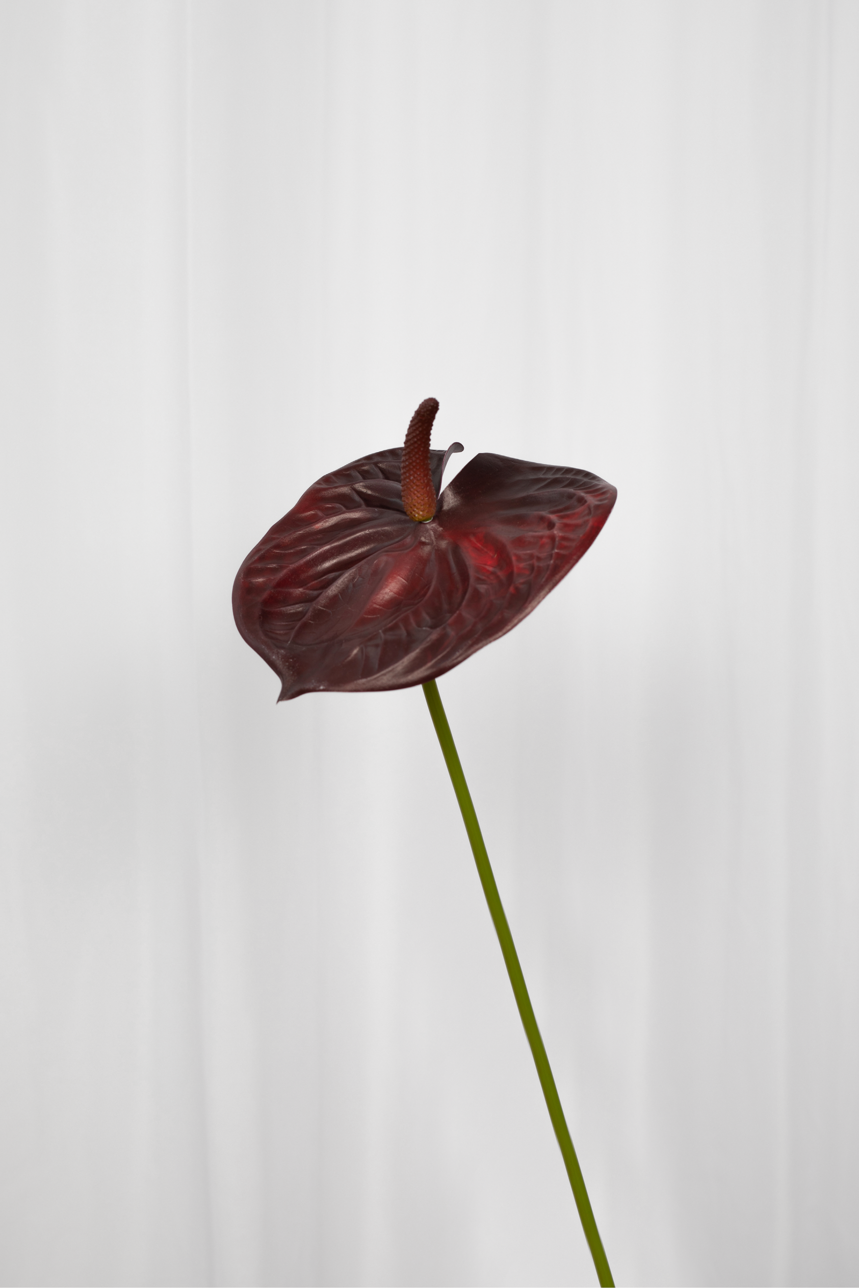 Flamingoblomst Kunstig Blomst