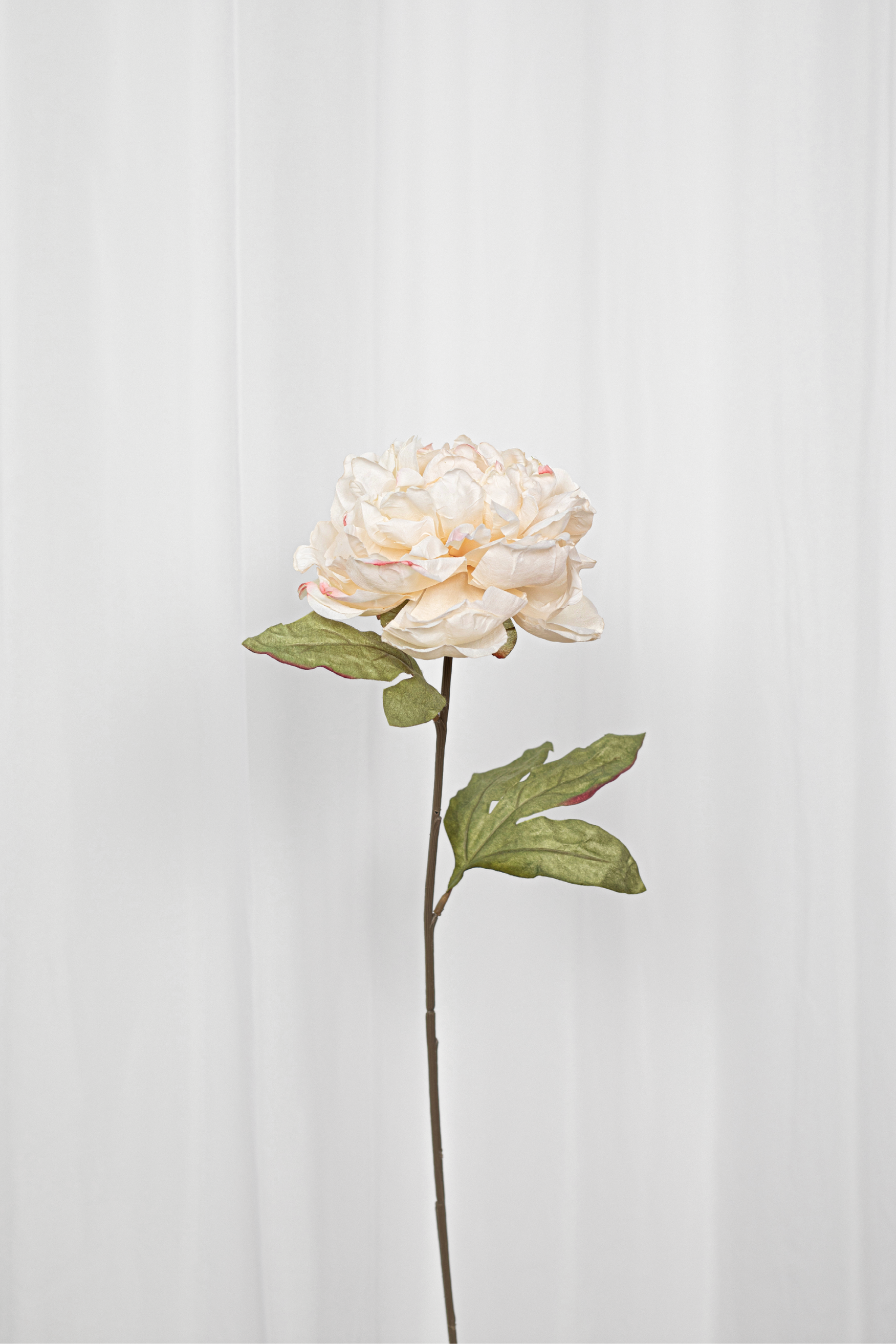 Kunstig pæon i en creme hvid farve.