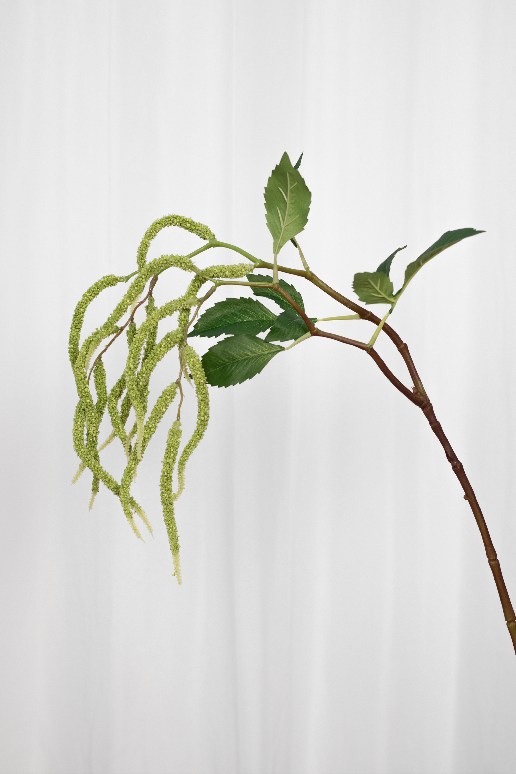 Kunstig grøn hængende gren.