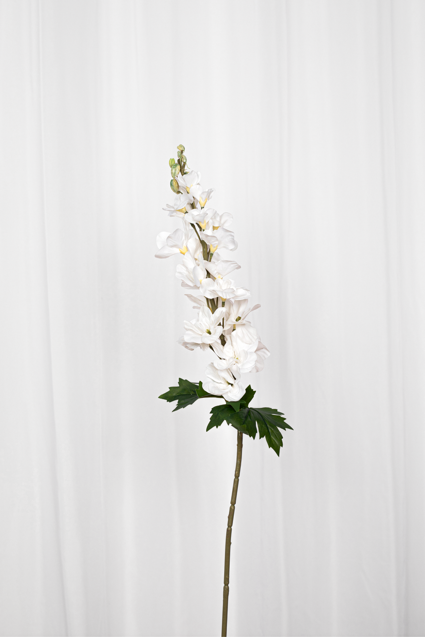 Kunstig hvid consolida blomst med grønne blade i bunden.