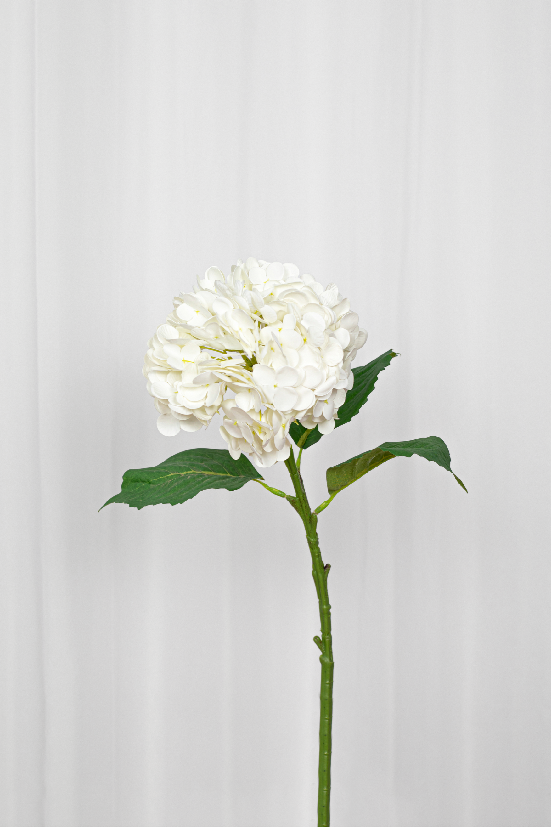 Kunstig hvid hortensia