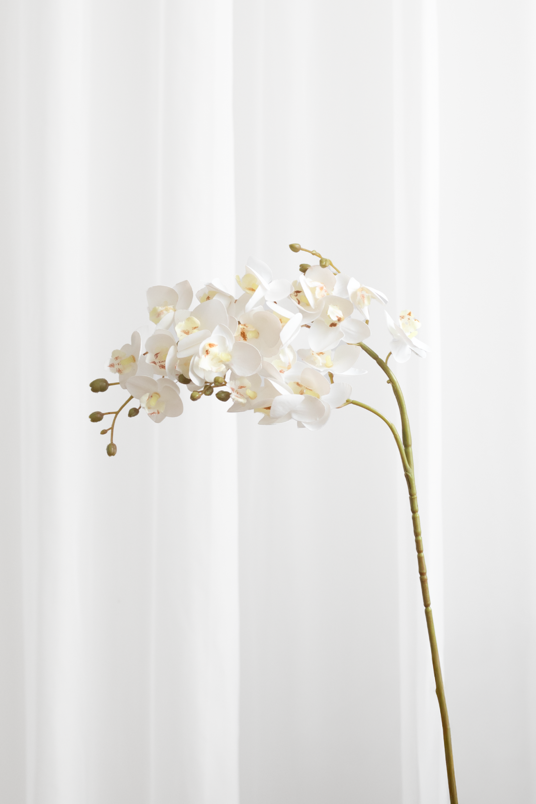 Kunstig hvid orkide med 21 hoveder.