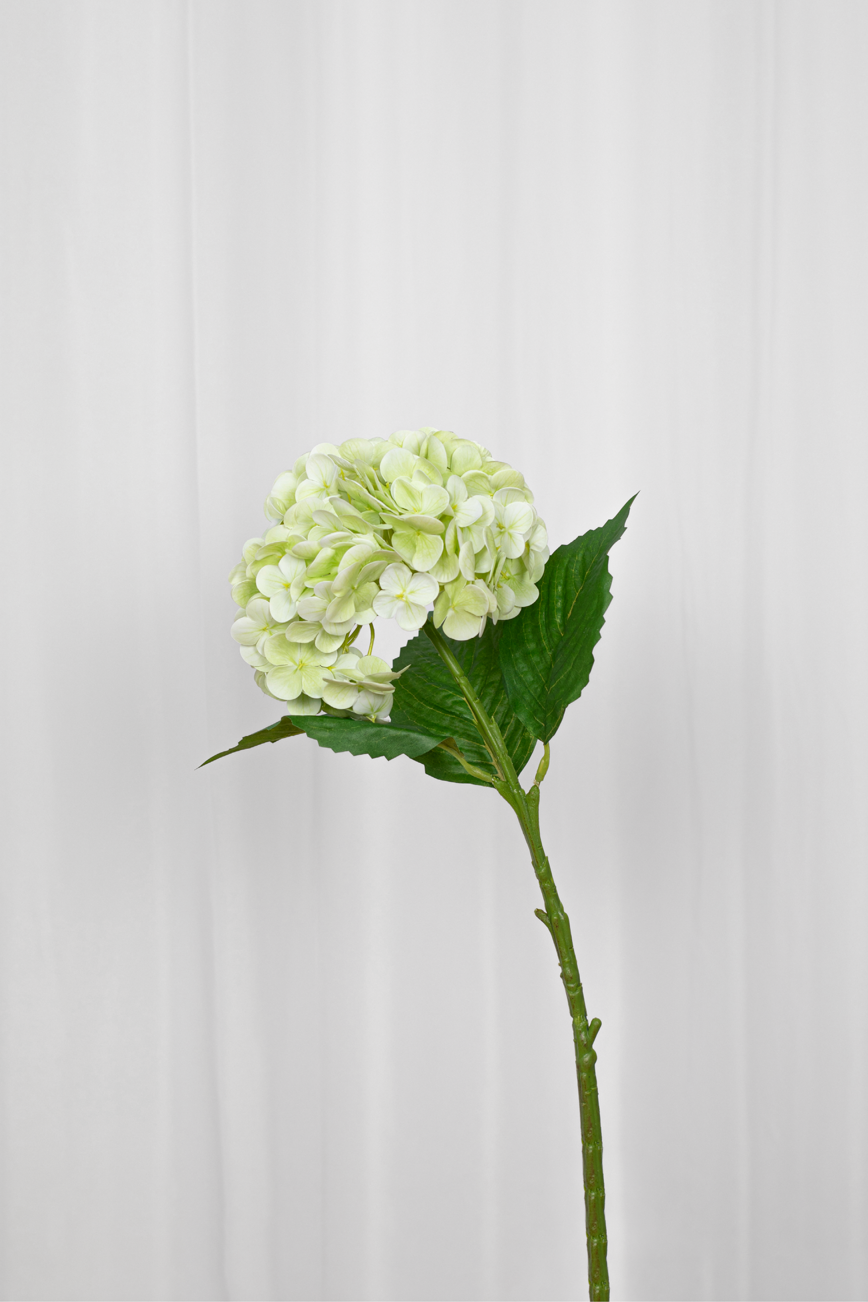 Kunstig lysegrøn hortensia.