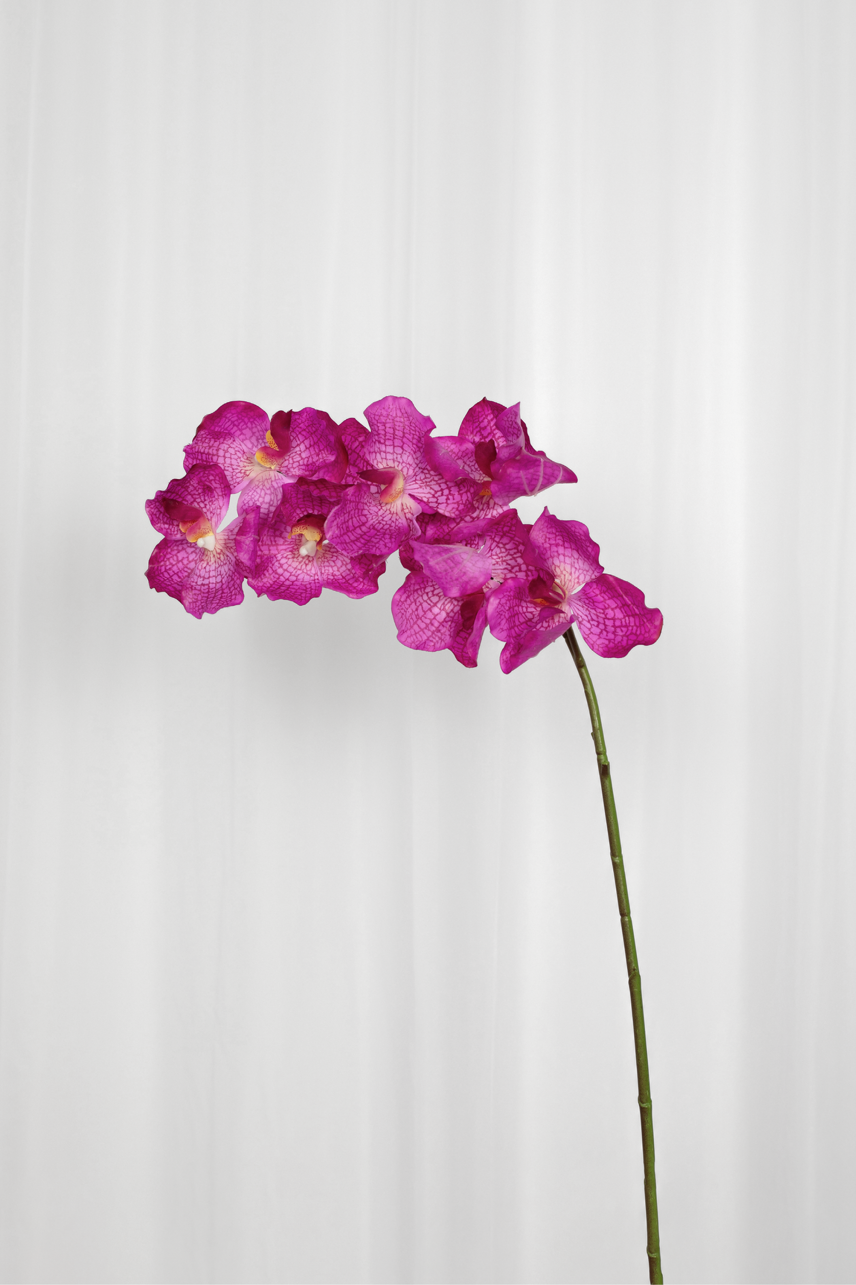 Kunstig orkide i pink med 7 hoveder.