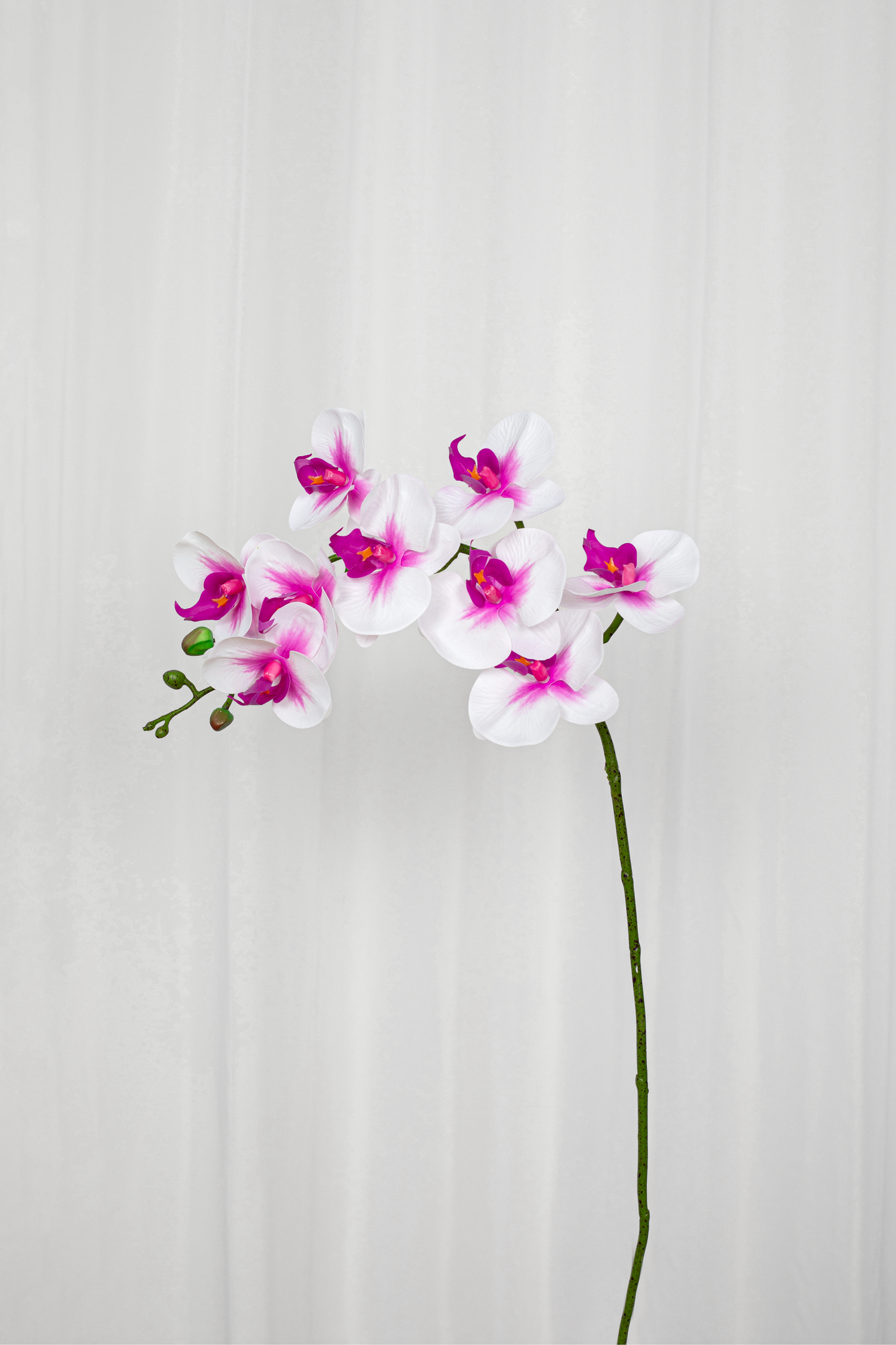 Kunstig orkide i hvid og pink med 9 hoveder.