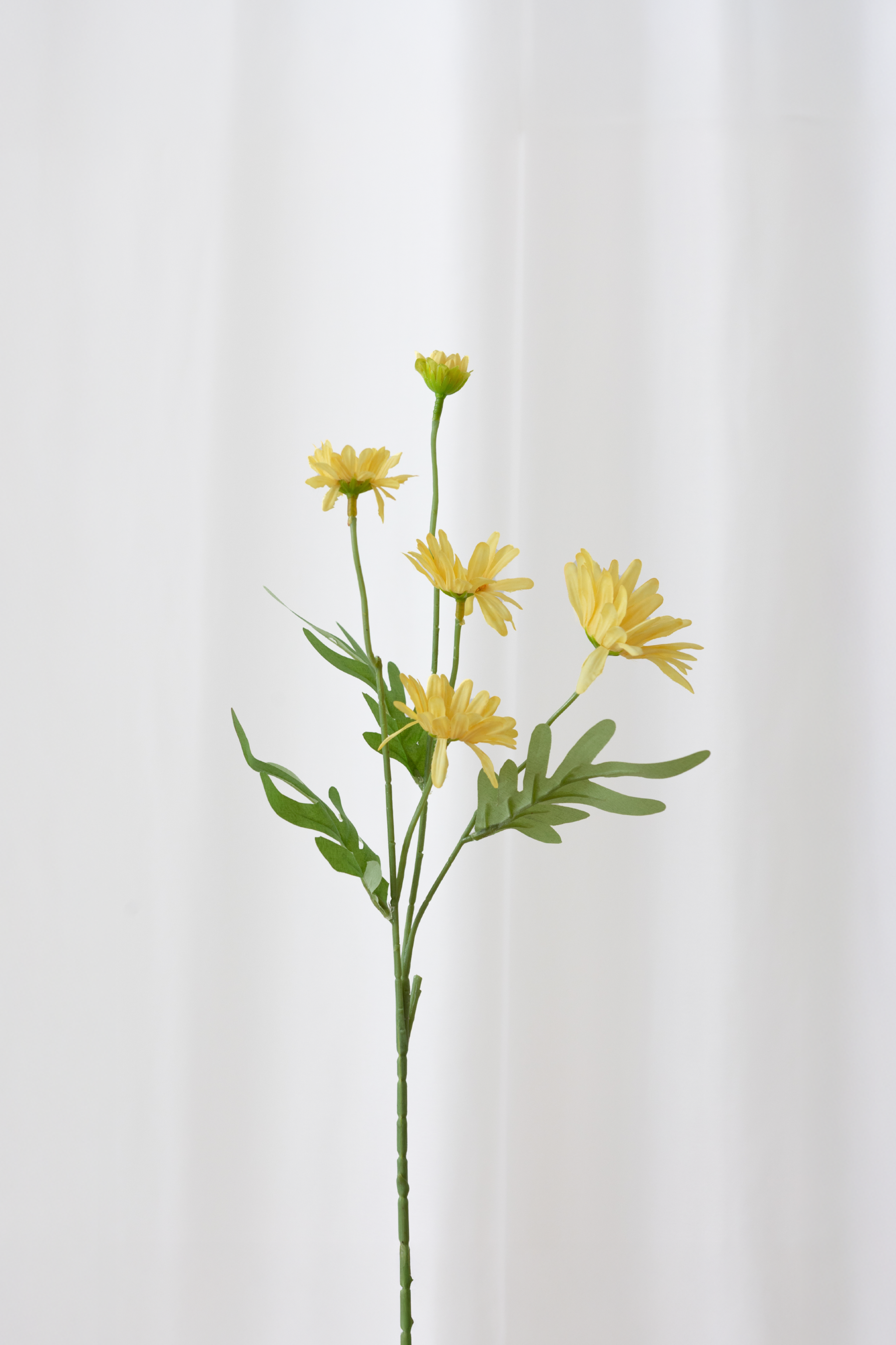 Naturtro kunstig daisy med 5 hoveder fra Specktrum. Gule blomster og grønne blade med høj detaljegrad.