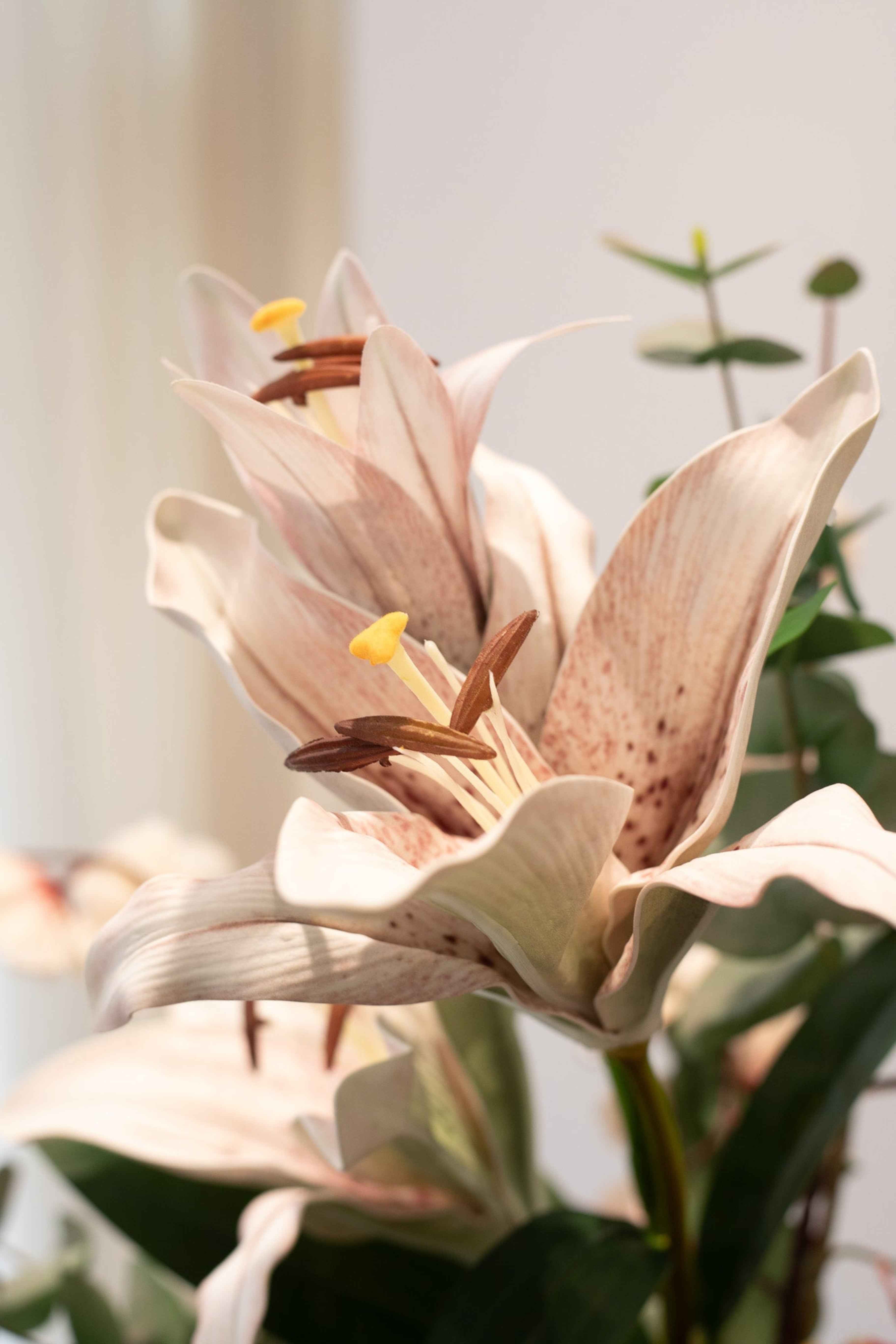 Månedens buket - Limited edition