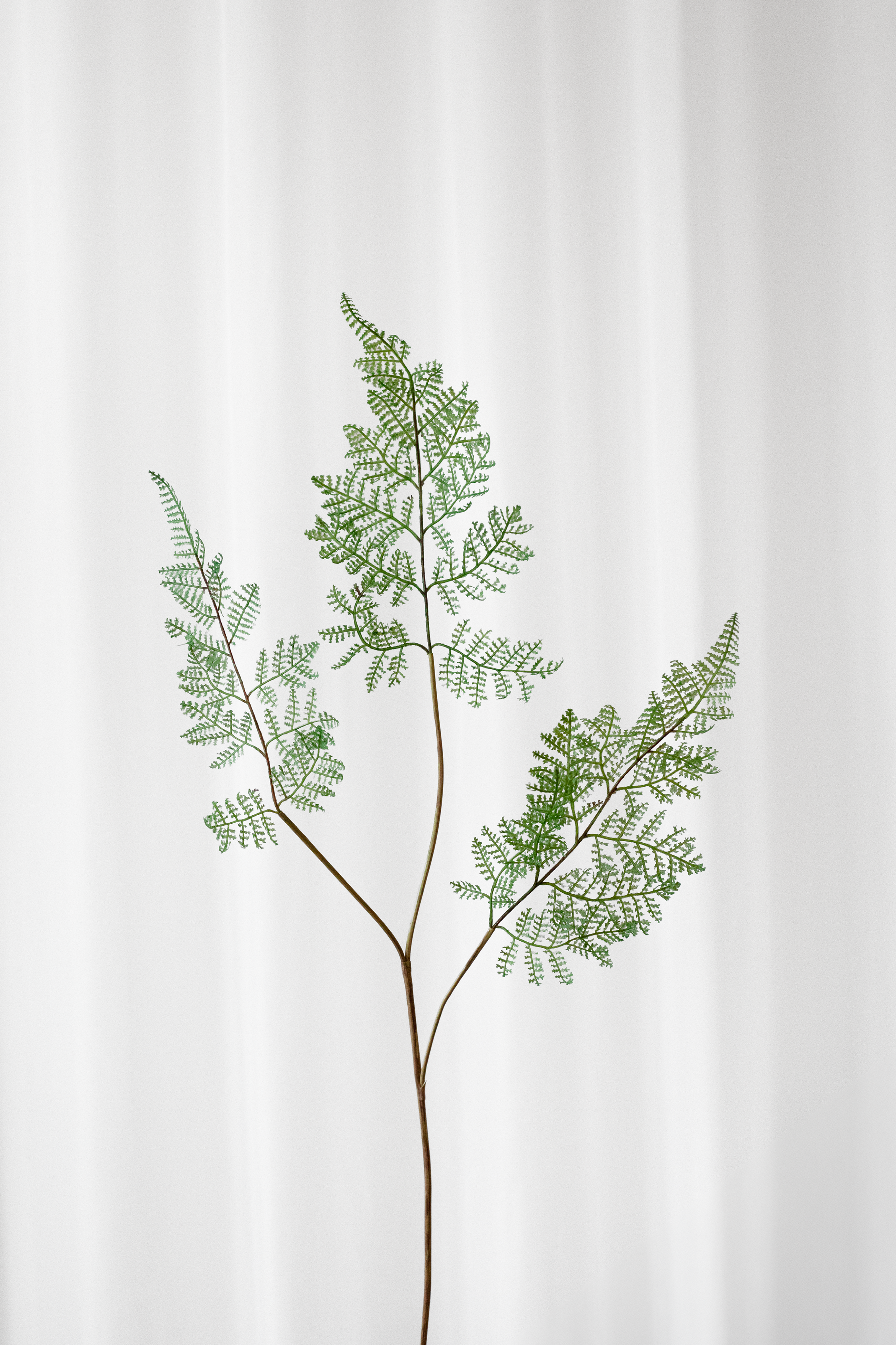 Kunstig mosbregne med naturnatro detaljer fra Specktrum.