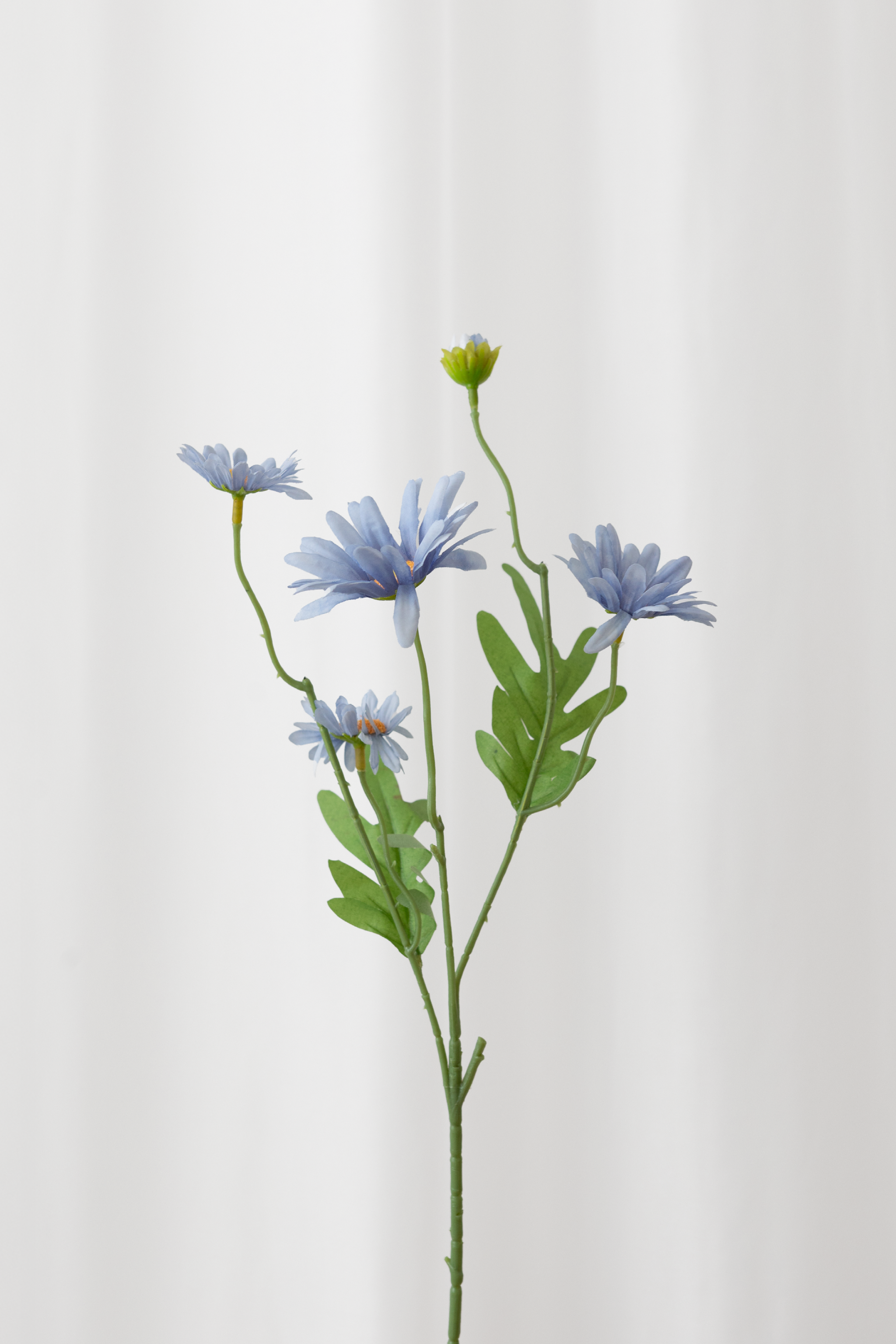 Specktrum naturtro kunstig daisy med 5 hoveder. Blå blomster og grønne blade med høj detaljegrad.