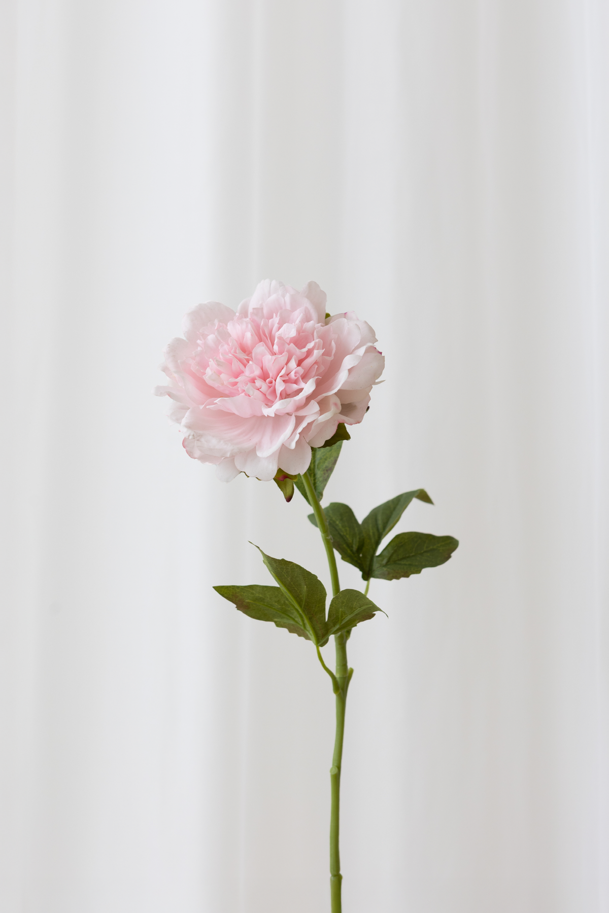 Kunstig blomst fra Specktrum med naturtro detaljer. Lys pink pæon med reel touch følelse.