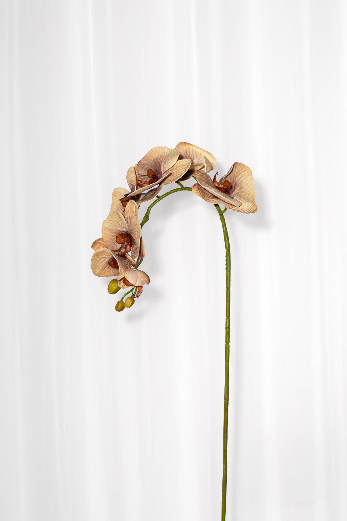 Kunstig orkidé i efterårets brændte gule og orange farver. Blomsterstilken har en naturtro finish.