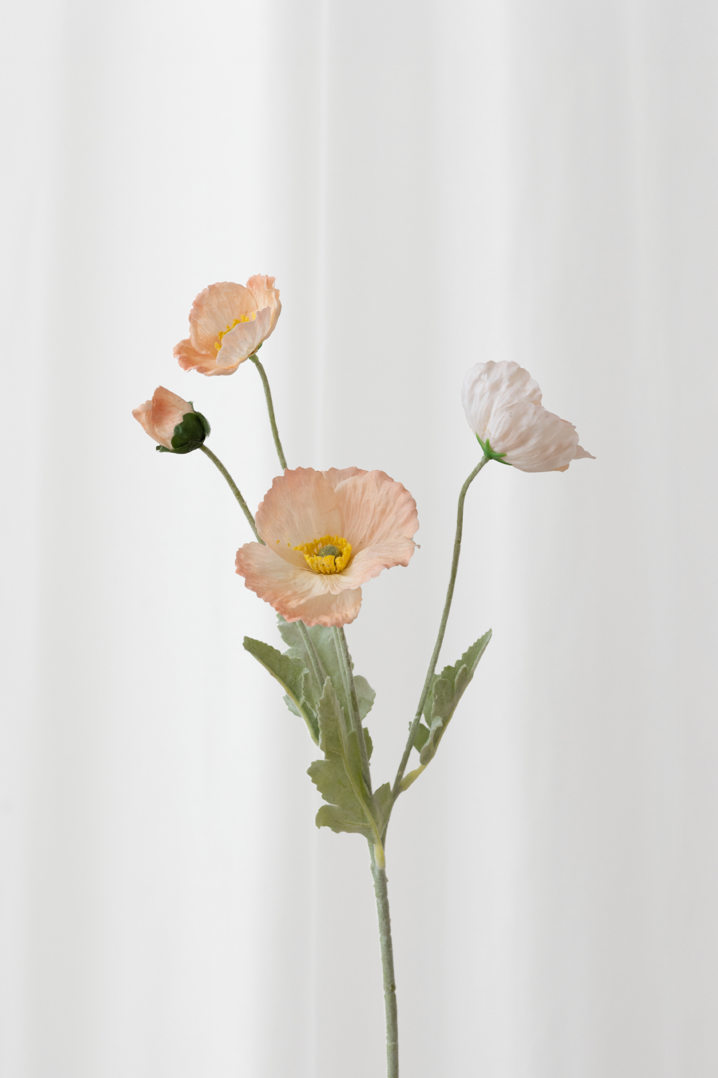 packshot af kunstige valmue i farven peach fra Specktrum. Baggrunden er et hvidt gardin.