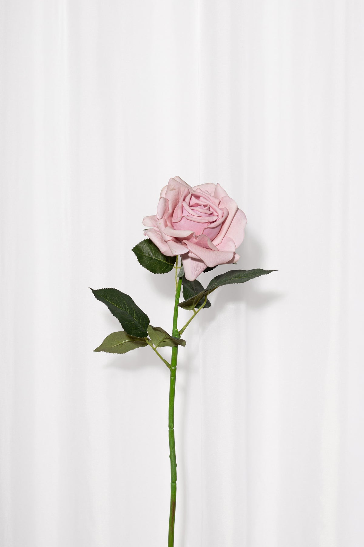 Kunstig rose i støvet rosa med blade, der føles som en ægte rose. Blomsten er fra Specktrum.