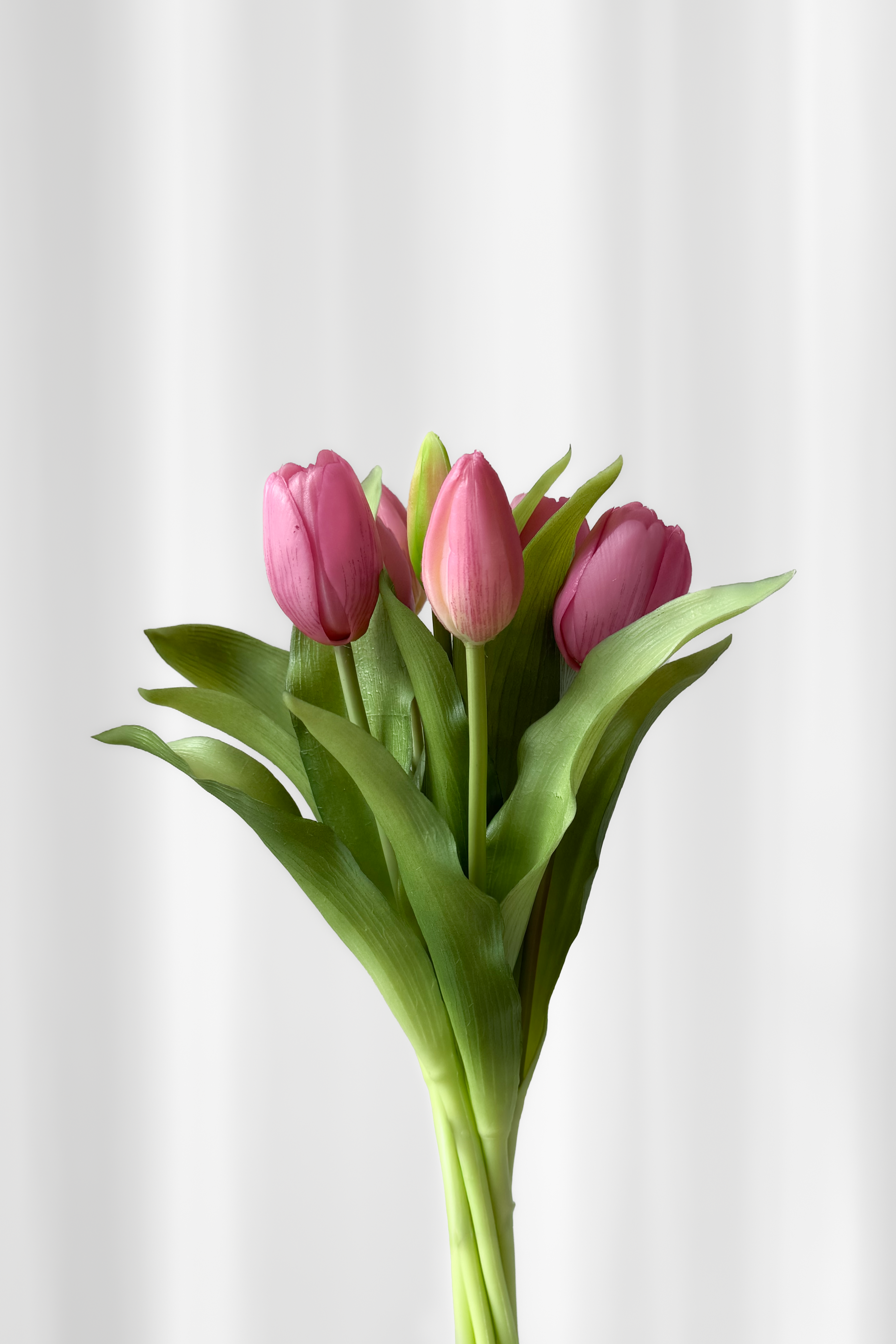 Bundt af tulipaner I pink.
