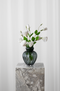 Lisianthus Drøm - hvid