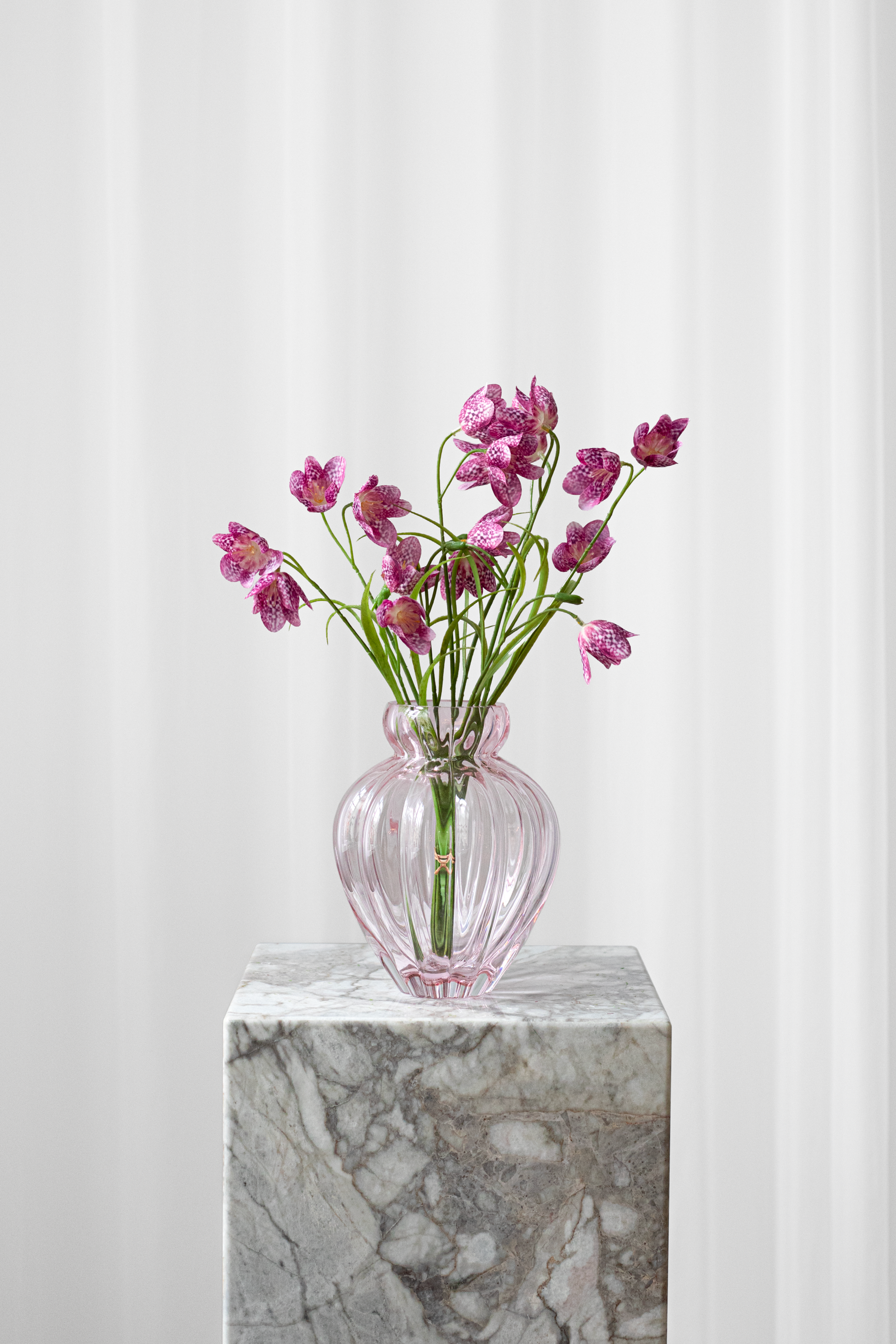 Buket Klokkeblomst - plum