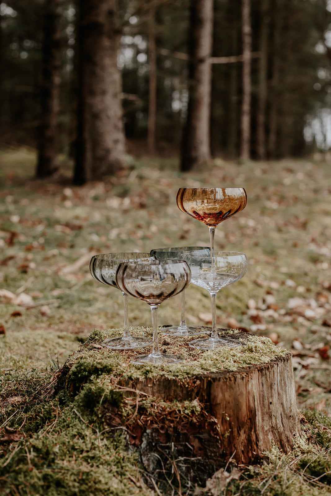 Meadow Glas - Cocktailglas | Klar | Pakke med 6 stk.