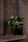Krysantemum no. 3 - grøn