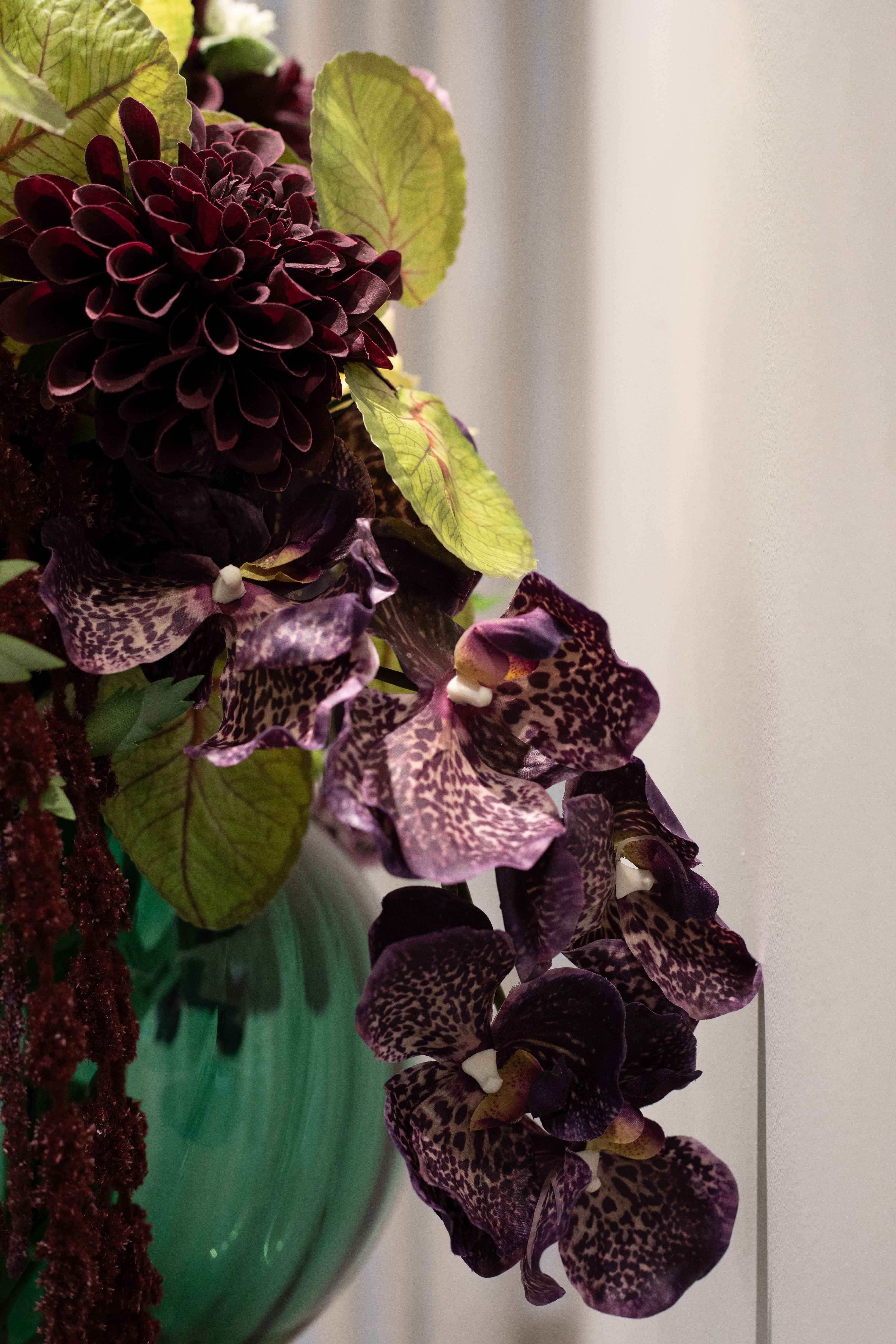 Violet Have - Buket 149