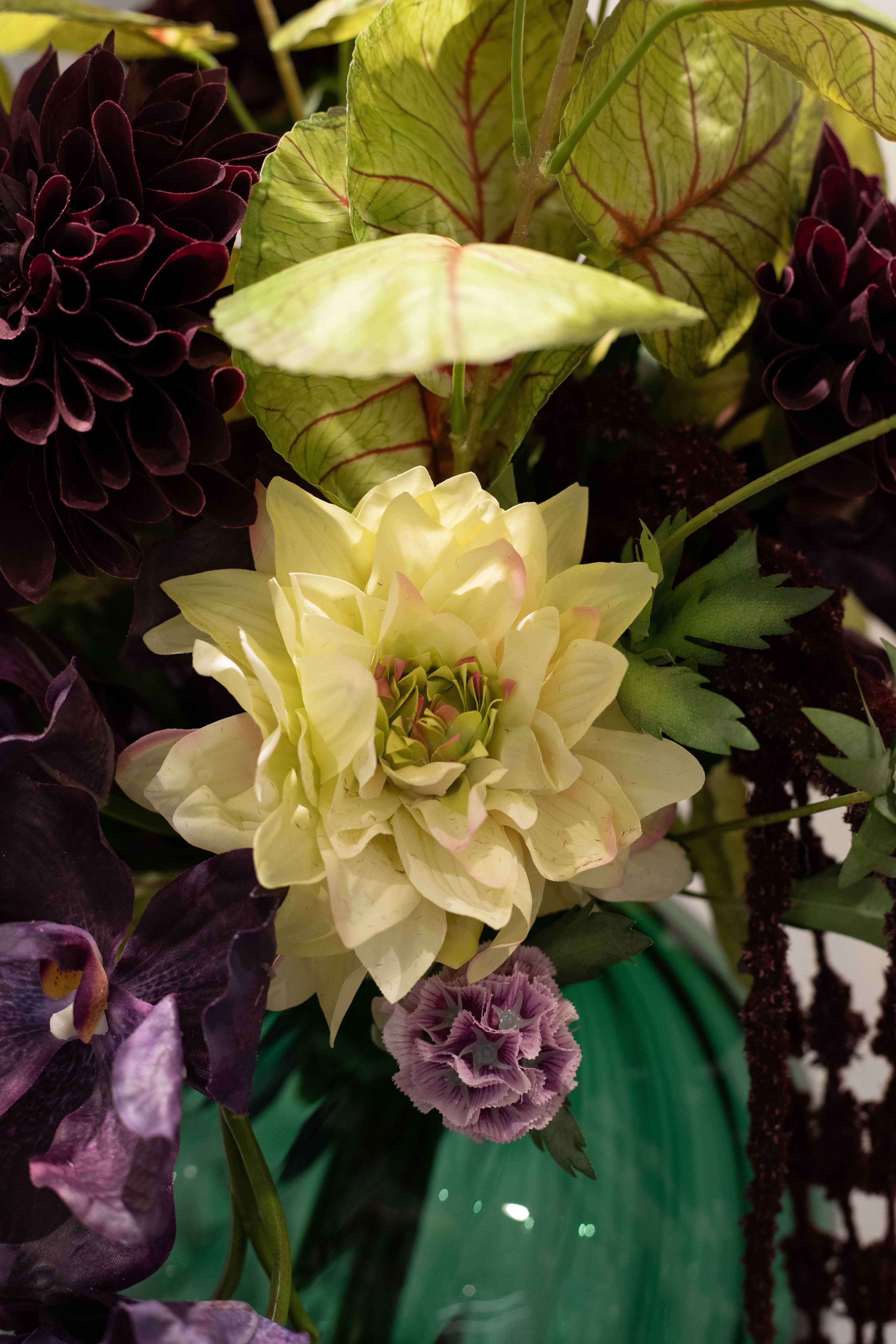 Violet Have - Buket 149