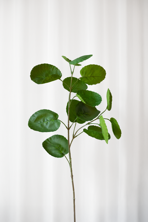 Kunstig aralia blad med naturnatro detaljer fra Specktrum.