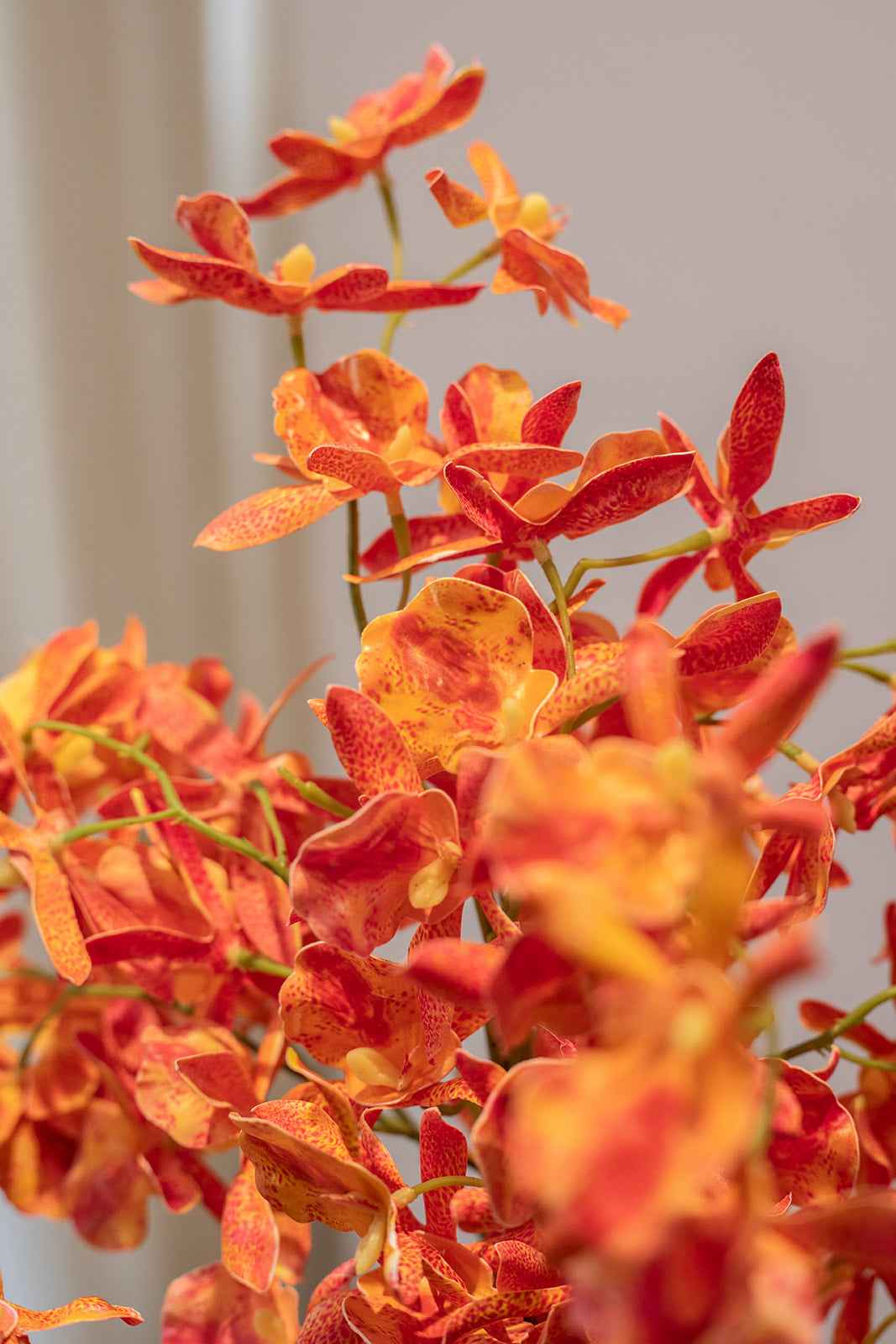 Brændende skønhed - Buket 88