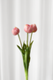 Tulipanbundt 6 - rosa